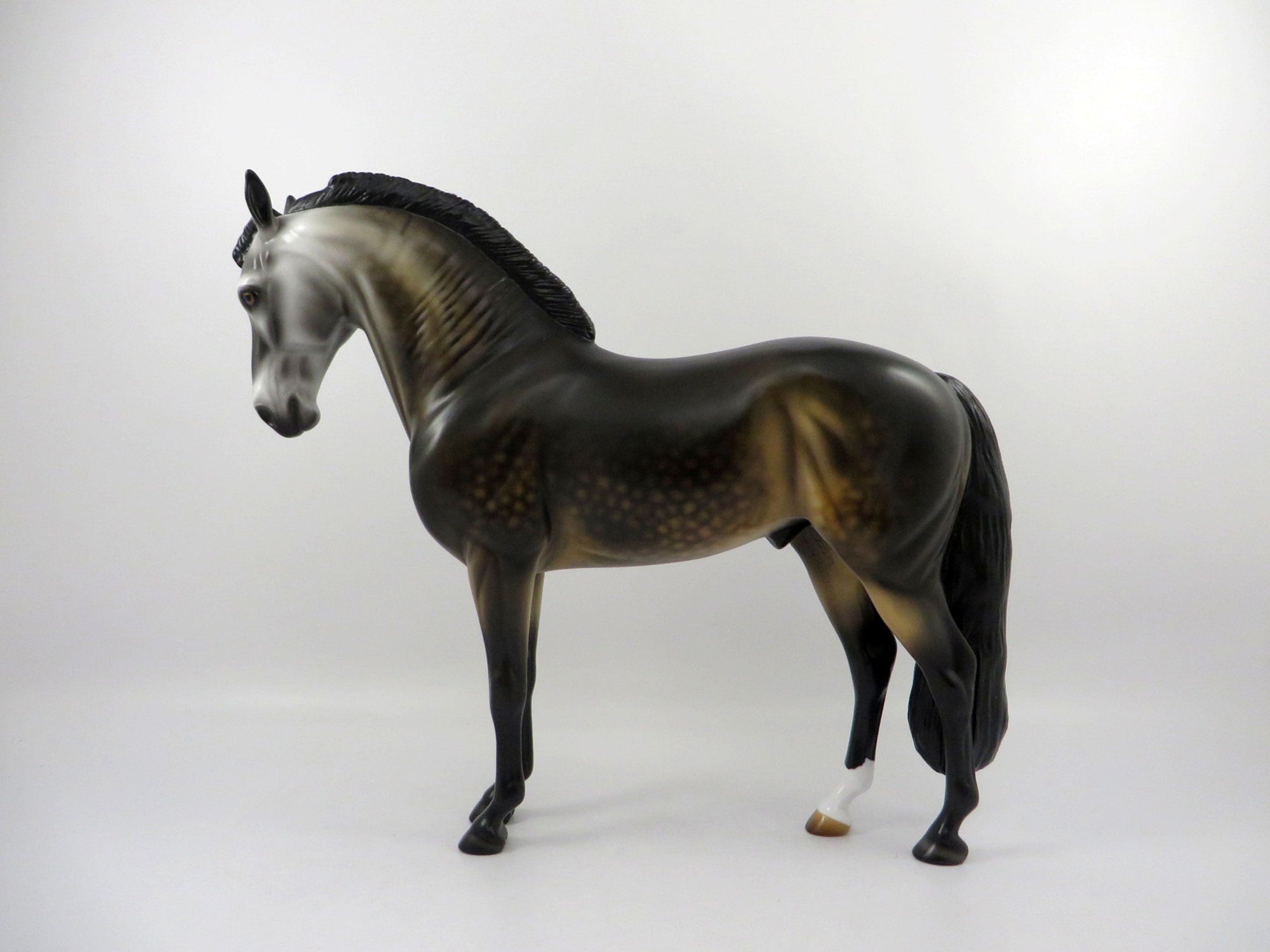 Embark-OOAK Dapple Bay Andalusian Painted By Audrey Dixon 3/12/21