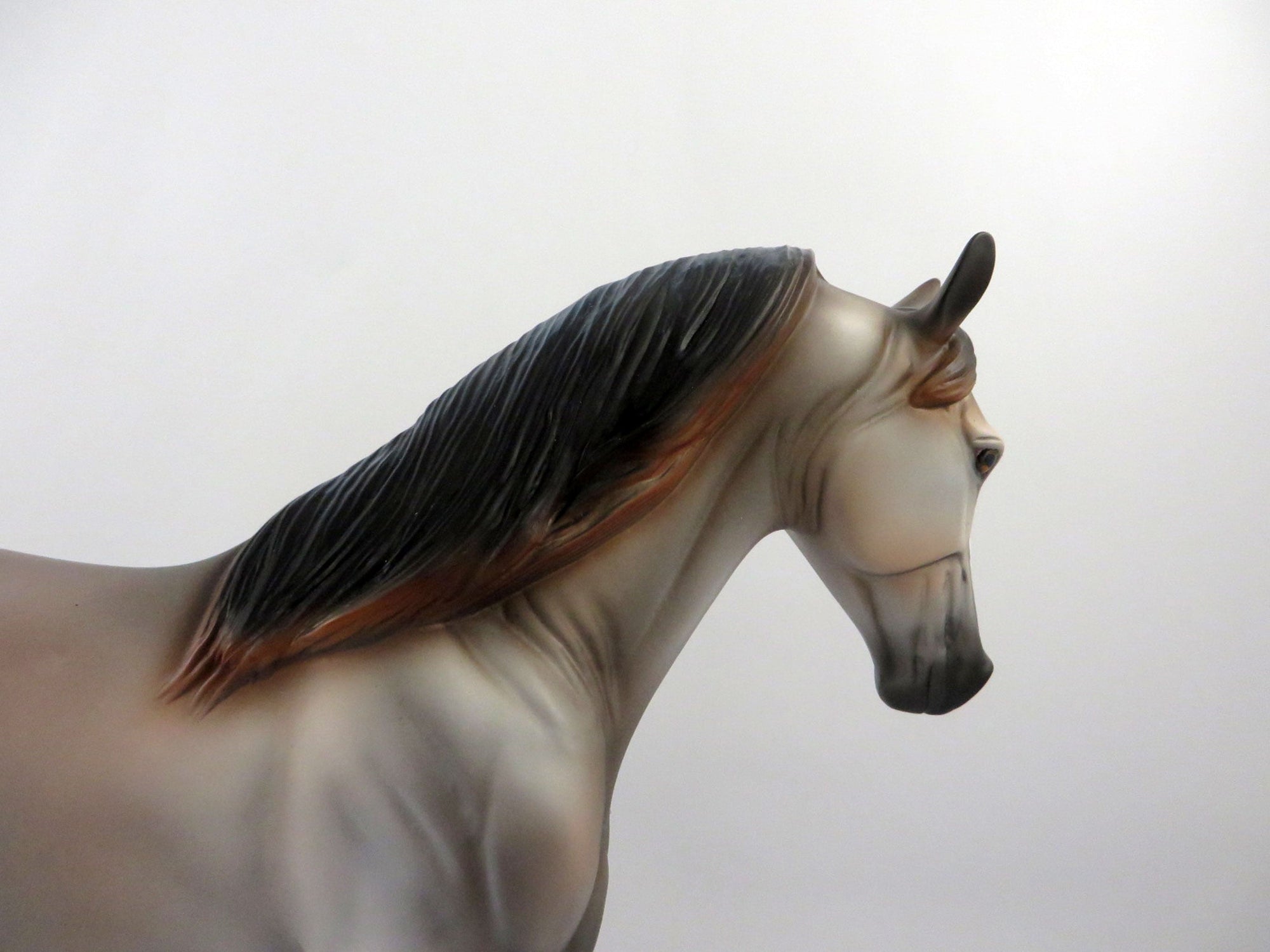 Embarr-OOAK Bay Roan Tennessee Walker 2/26/21