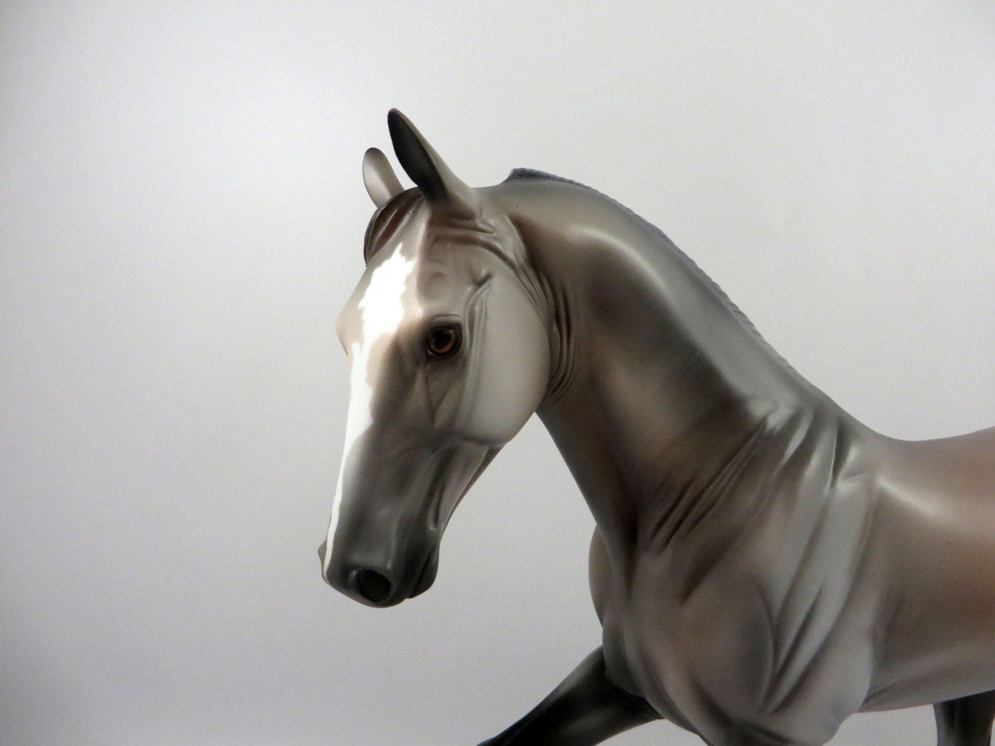 Embarr-OOAK Bay Roan Tennessee Walker 2/26/21