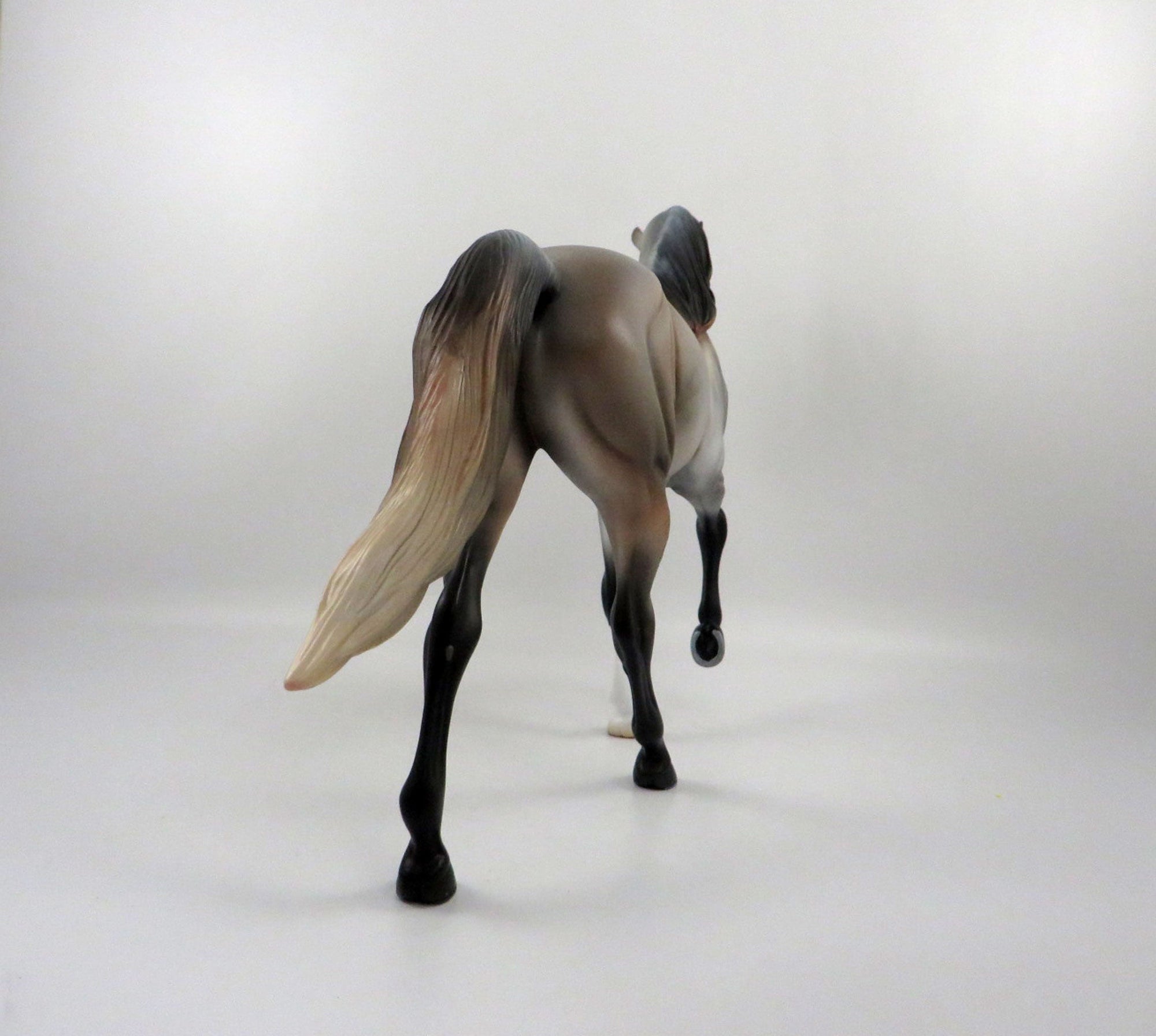 Embarr-OOAK Bay Roan Tennessee Walker 2/26/21