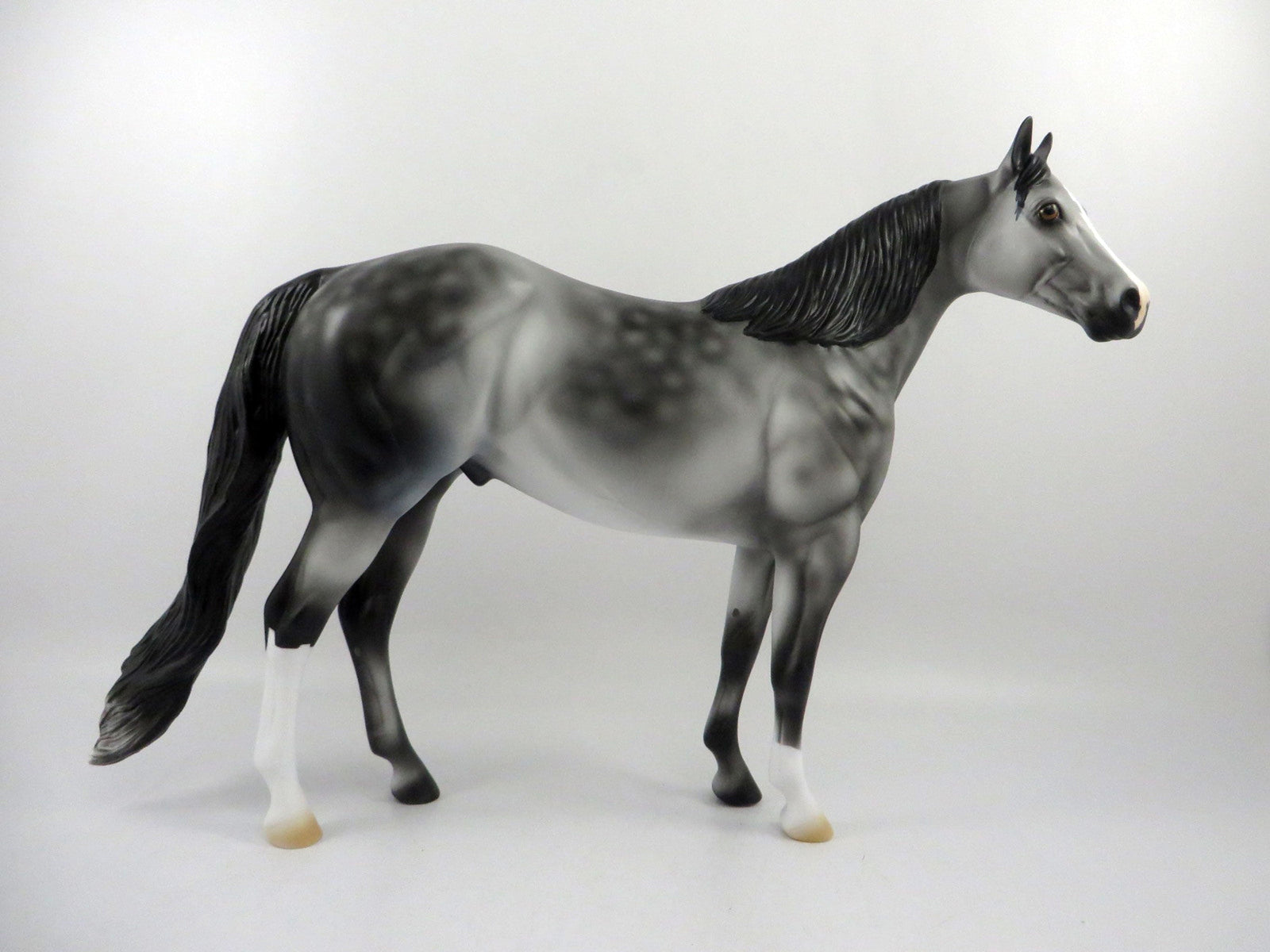 Emerald Isle-OOAK Dapple Grey ISH   2/24/21