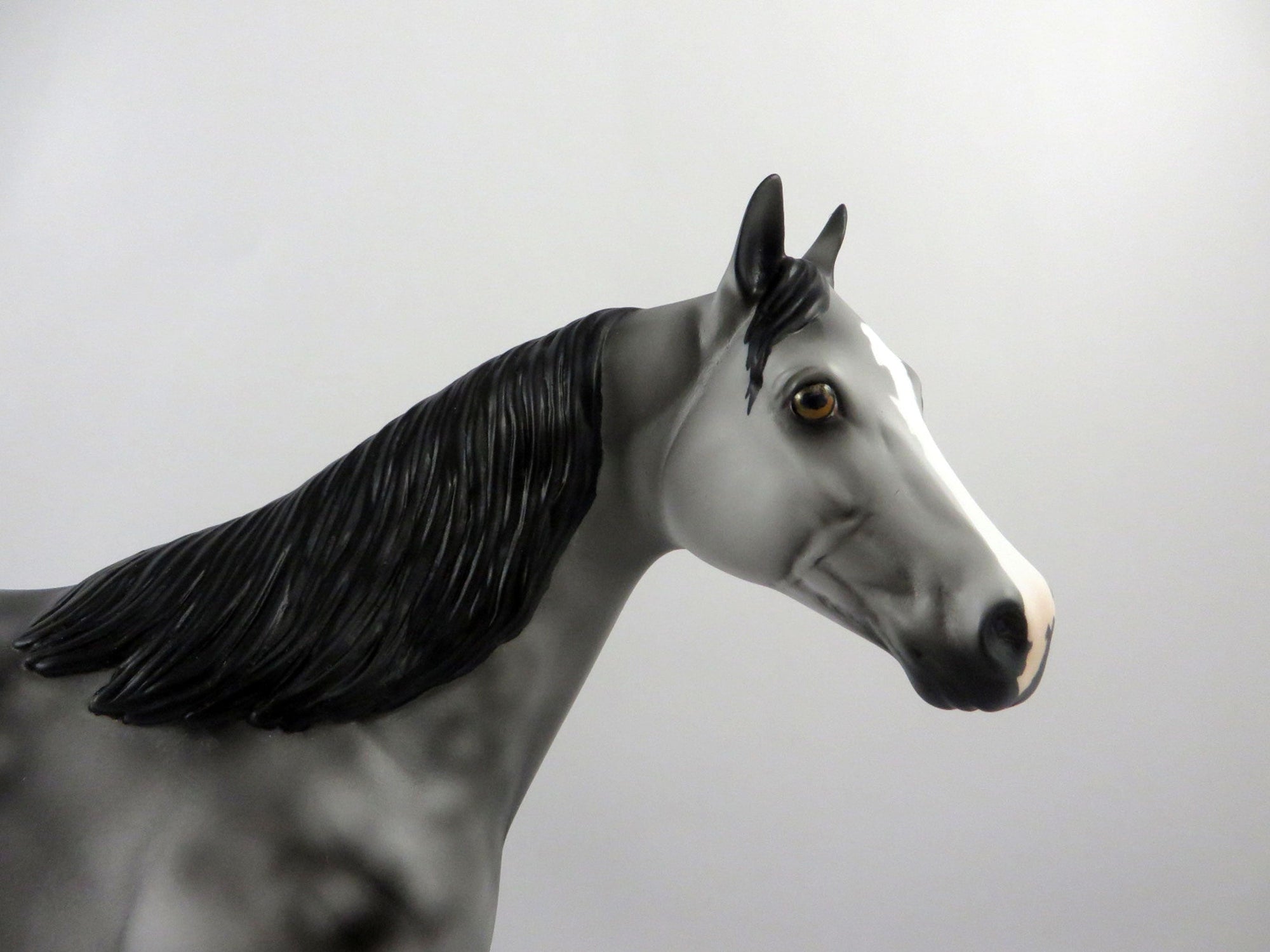 Emerald Isle-OOAK Dapple Grey ISH   2/24/21