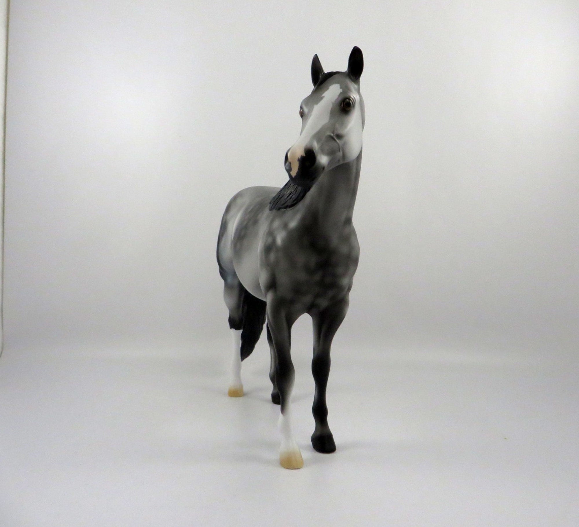 Emerald Isle-OOAK Dapple Grey ISH   2/24/21