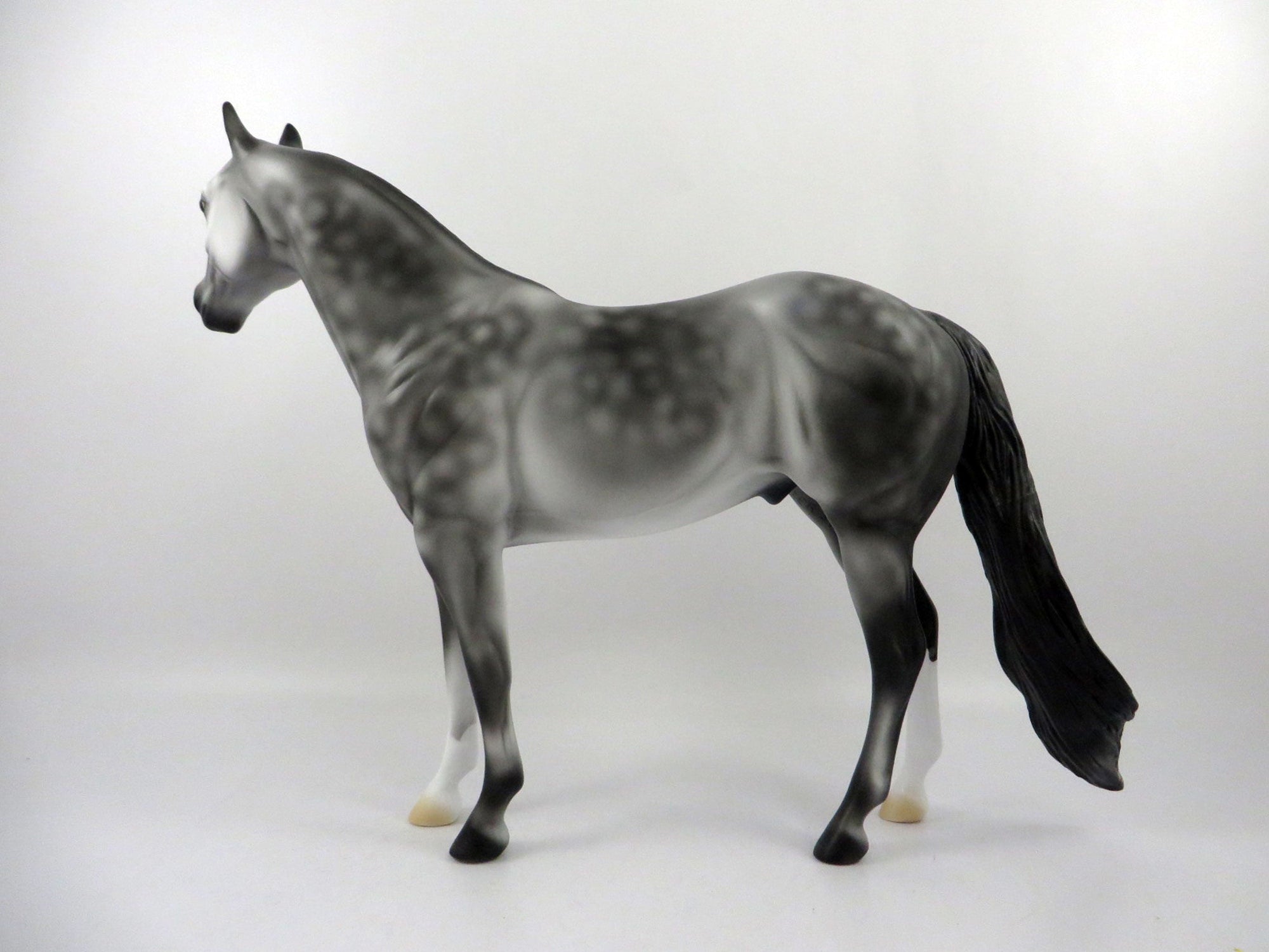 Emerald Isle-OOAK Dapple Grey ISH   2/24/21