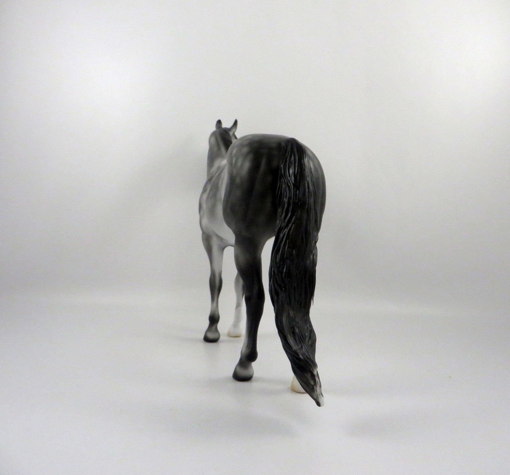 Emerald Isle-OOAK Dapple Grey ISH   2/24/21