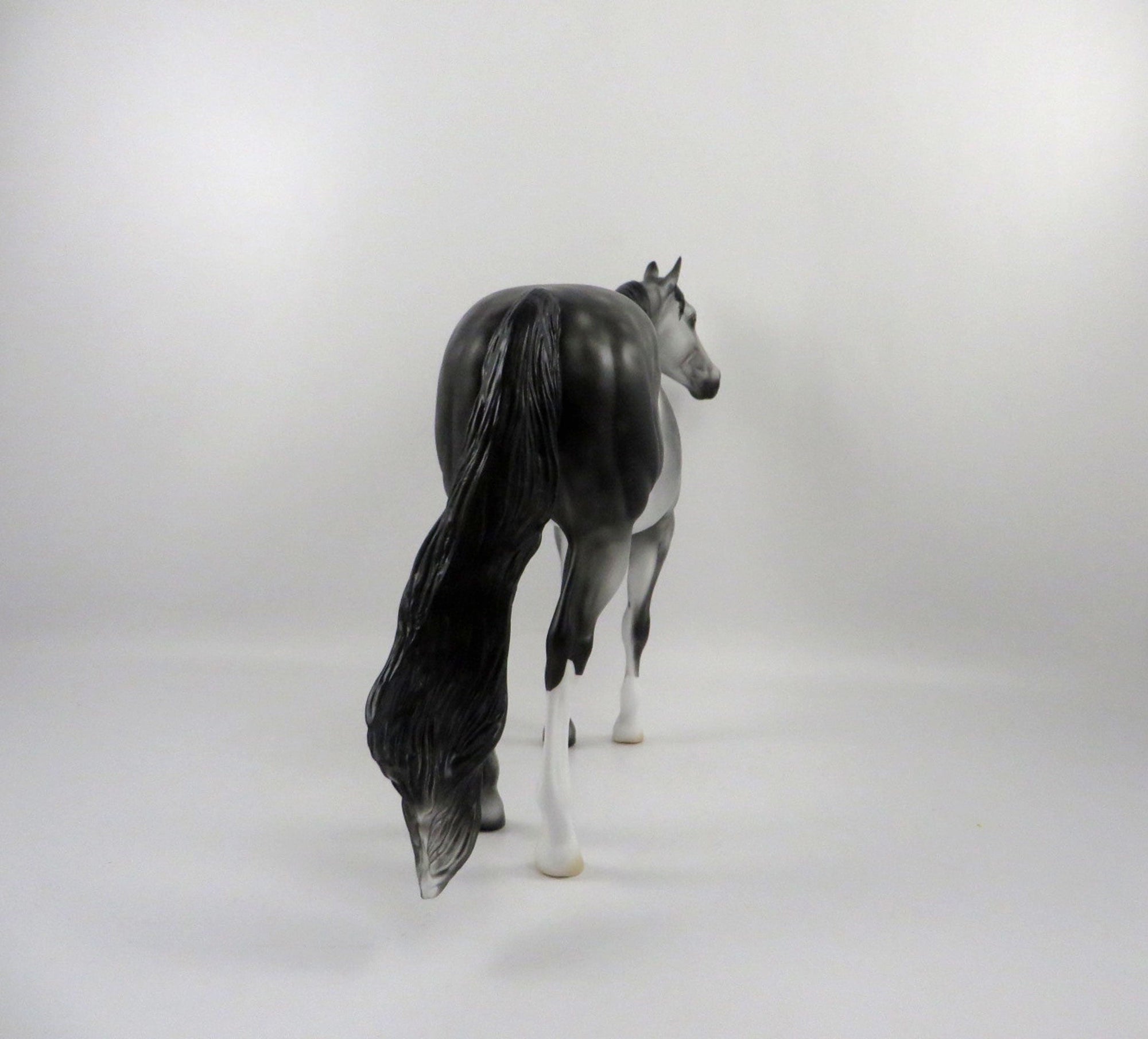 Emerald Isle-OOAK Dapple Grey ISH   2/24/21