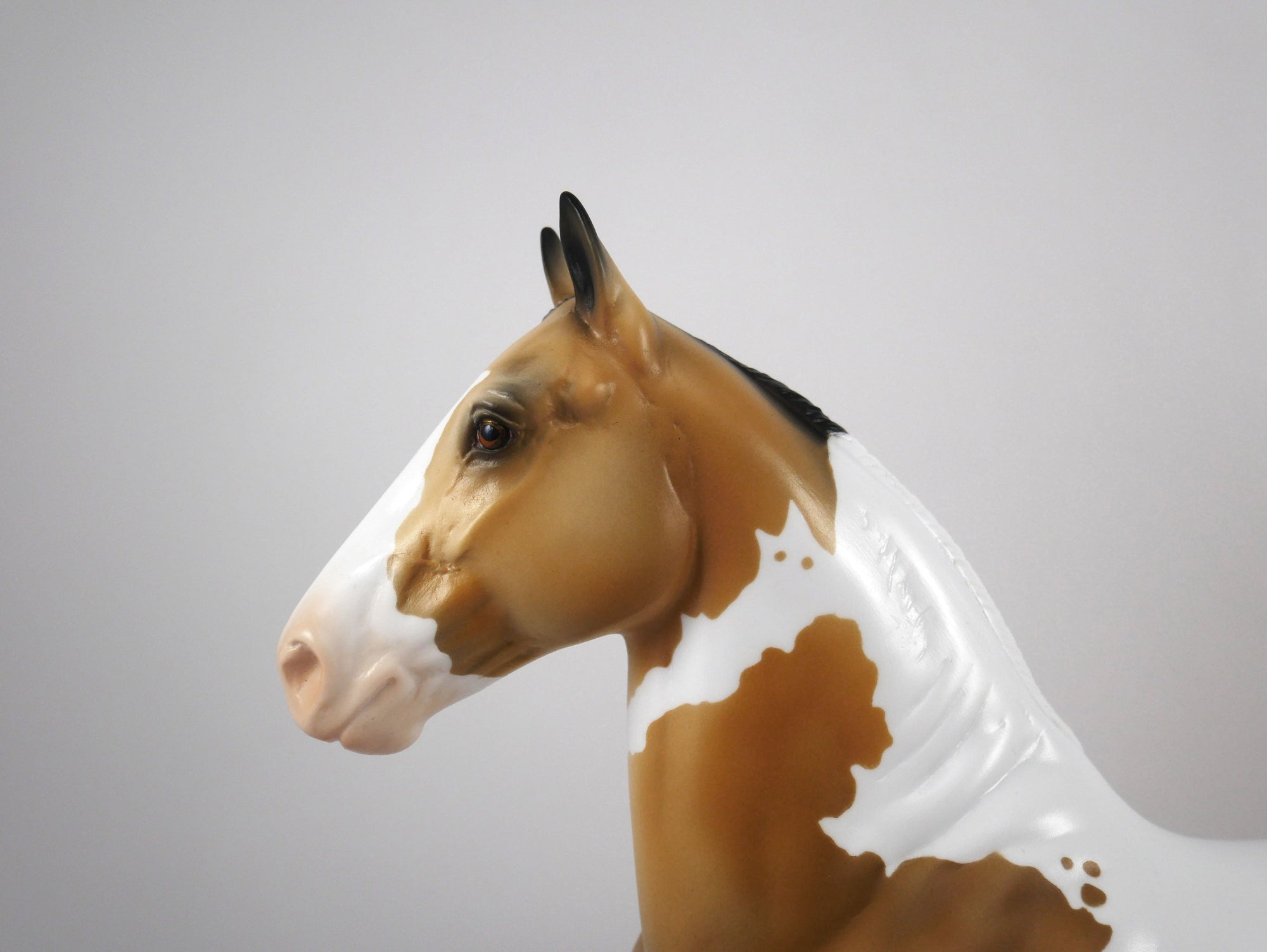 Emmy Lou-OOAK Buckskin Paint Trotting Drafter by Ellen 1/29/21