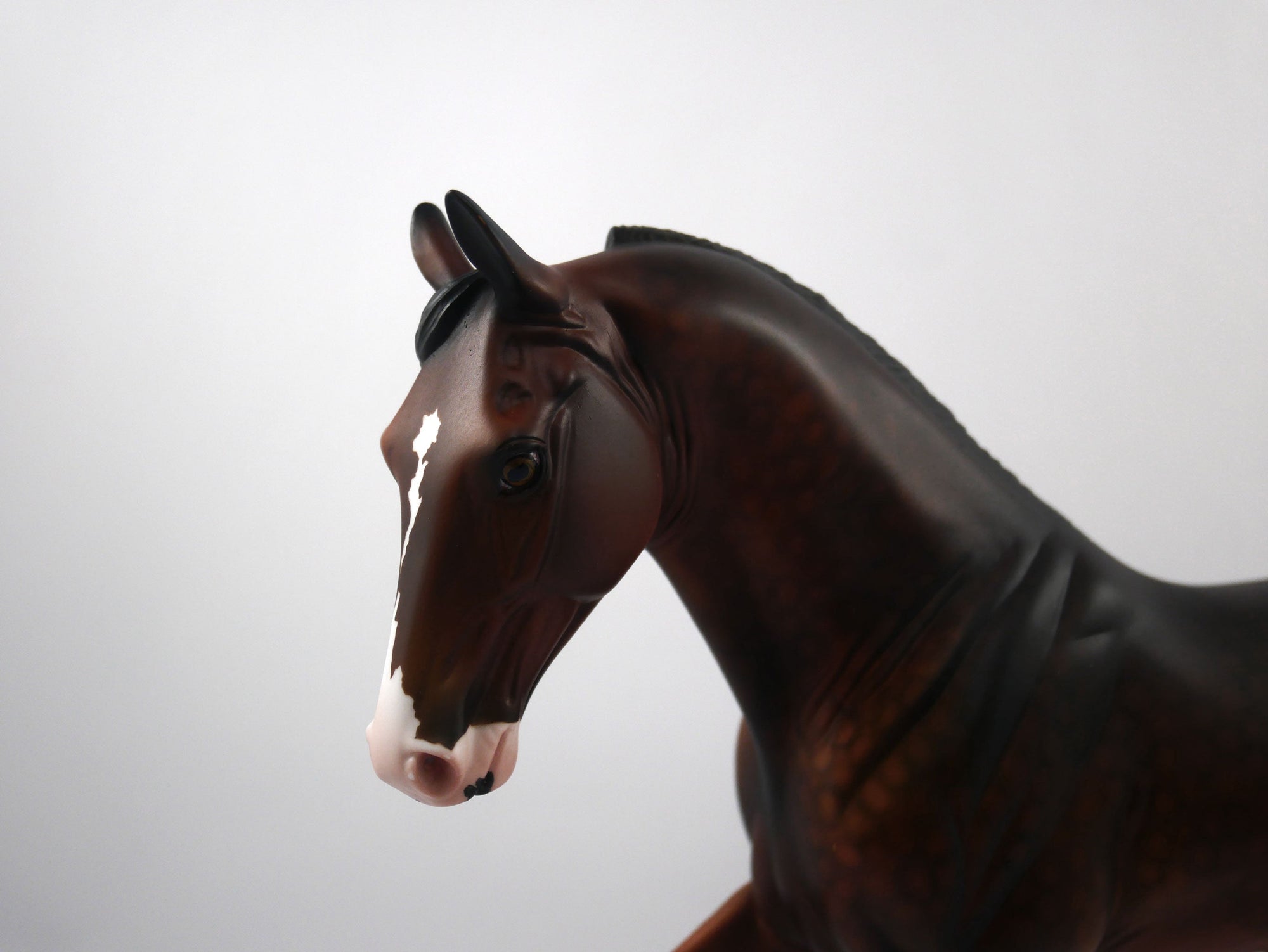 End Zone-OOAK Dapple Bay Tennessee Walker SB 21