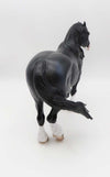 Endora- OOAK Dapple Black Heavy Drafter By Caroline Boydston 3/17/23