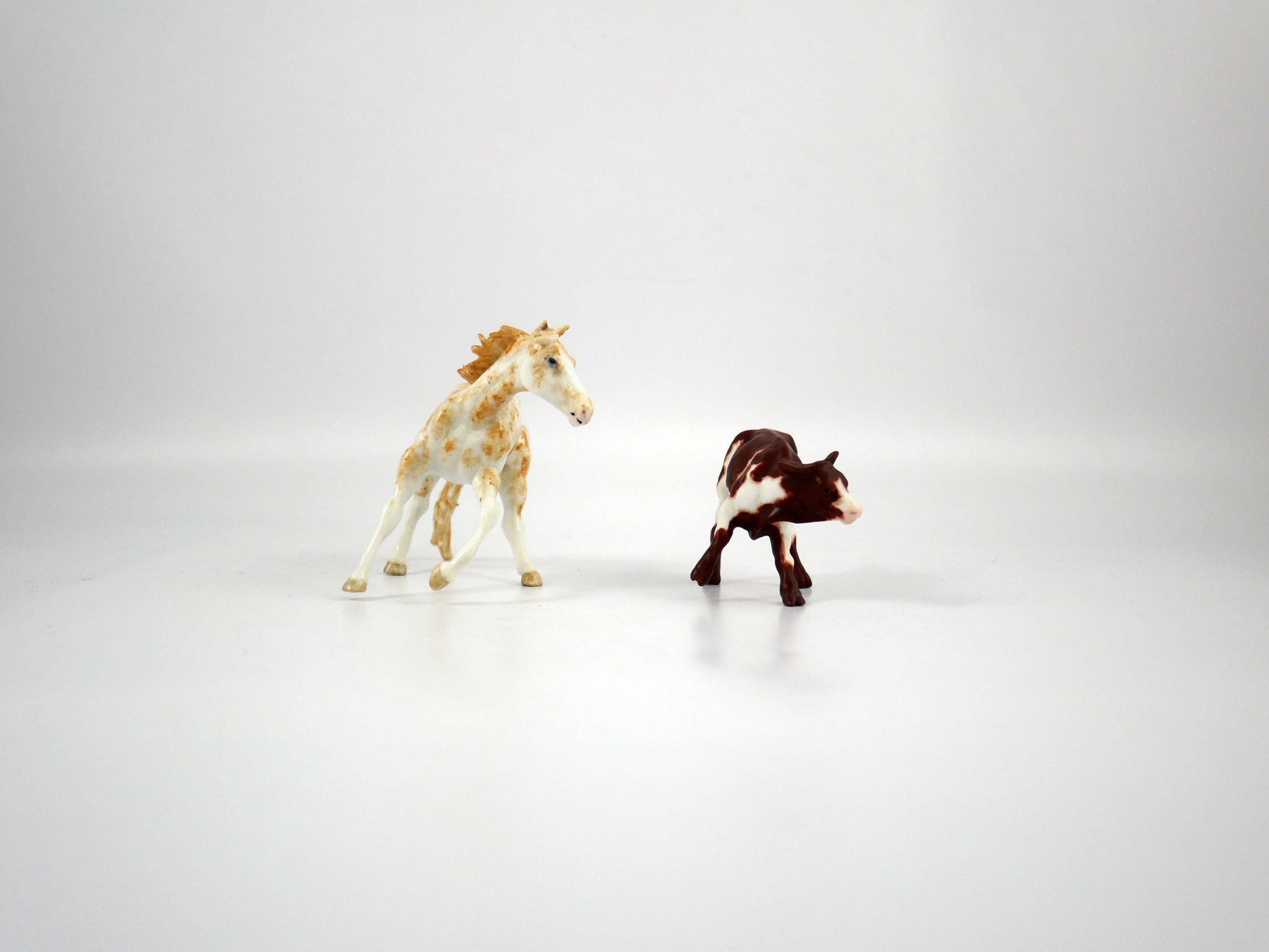 Endurance and Definance-OOAK Cutter and Calf Chip Painted By Andea 12/30/20