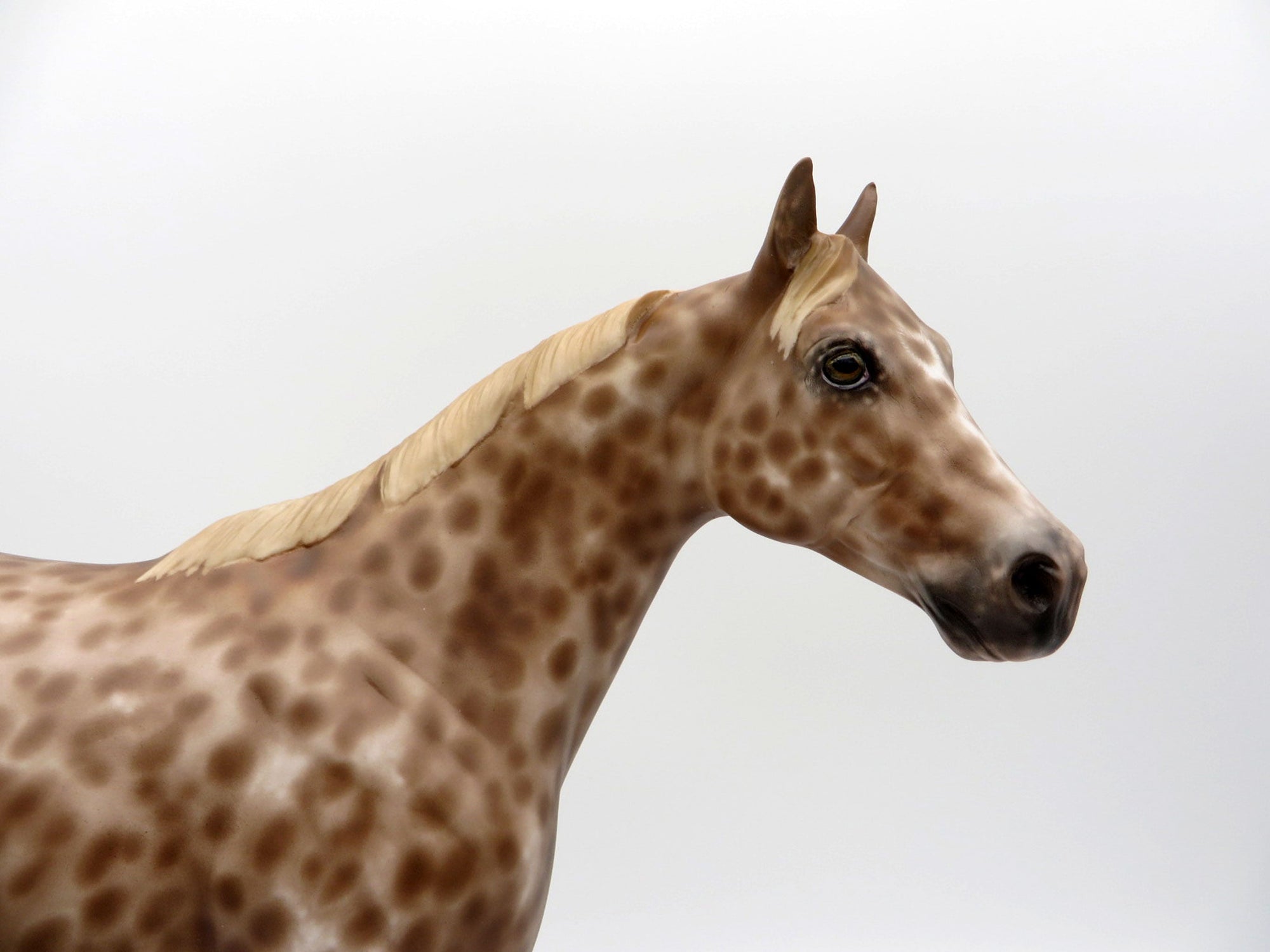 Enterprize-OOAK Loud Chestnut Appaloosa Painted By Caroline Boydston 5/10/21