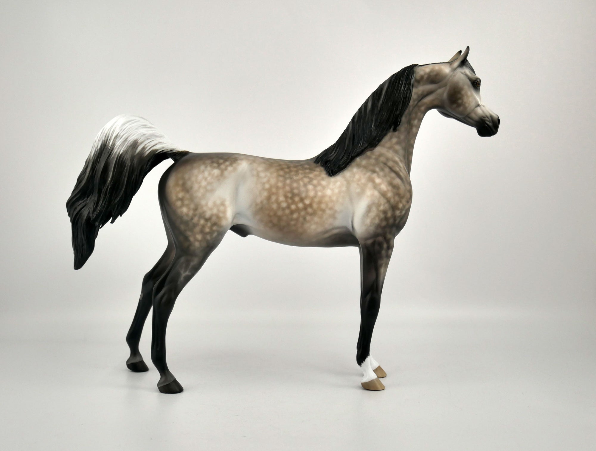 EOWEN -OOAK DAPPLE BAY GOING GREY ARABIAN BY SHERYL LEISURE 12/03/20