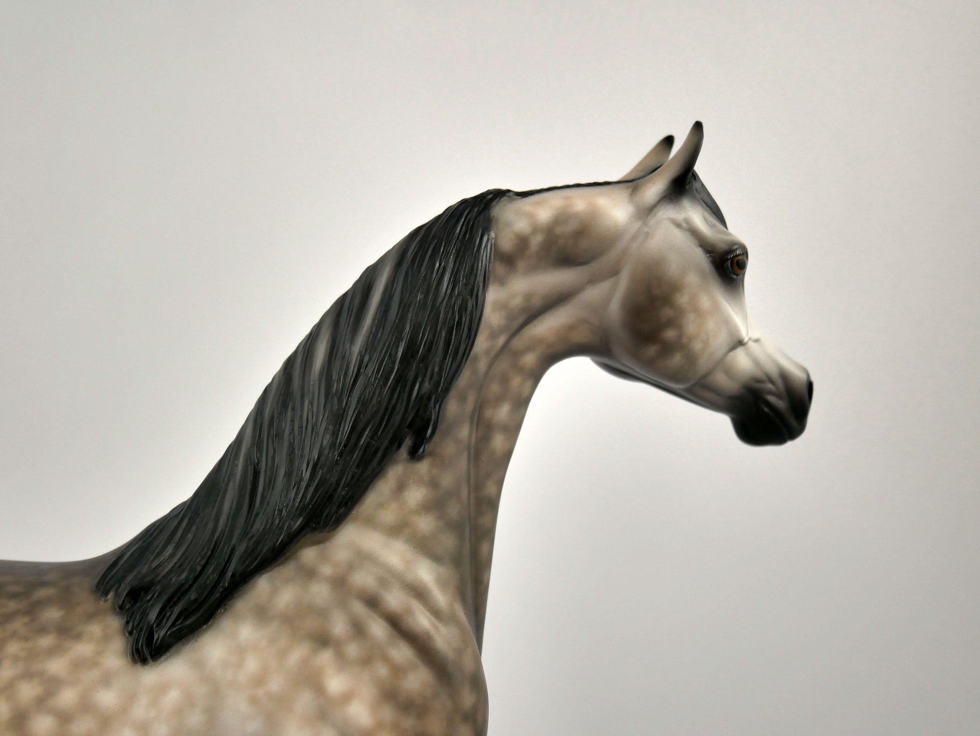 EOWEN -OOAK DAPPLE BAY GOING GREY ARABIAN BY SHERYL LEISURE 12/03/20
