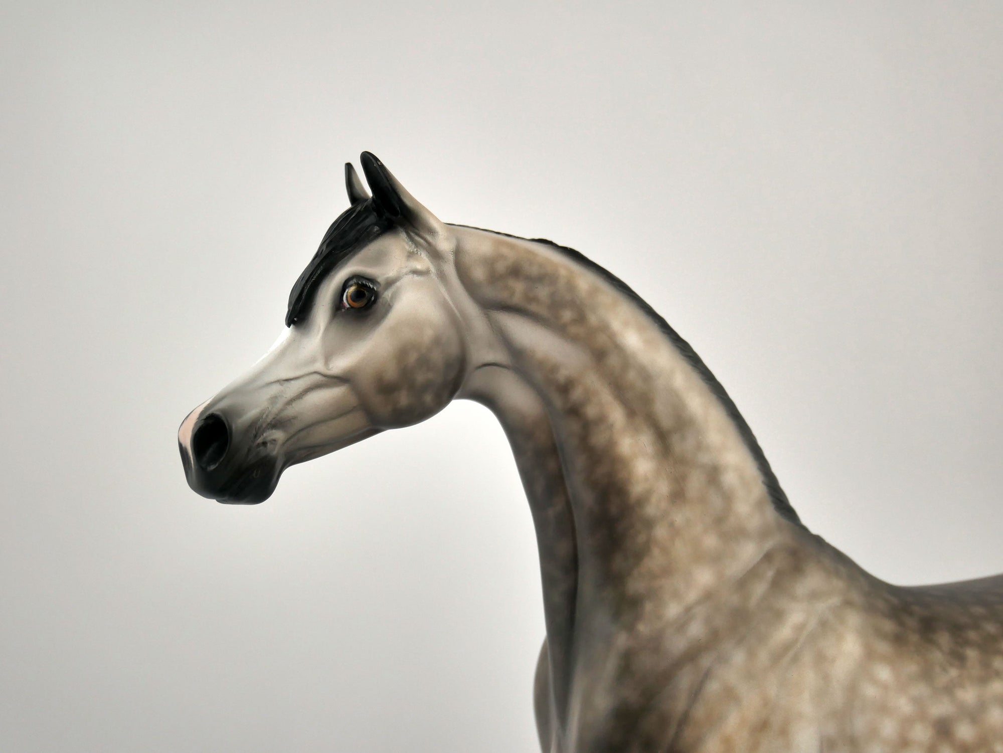 EOWEN -OOAK DAPPLE BAY GOING GREY ARABIAN BY SHERYL LEISURE 12/03/20