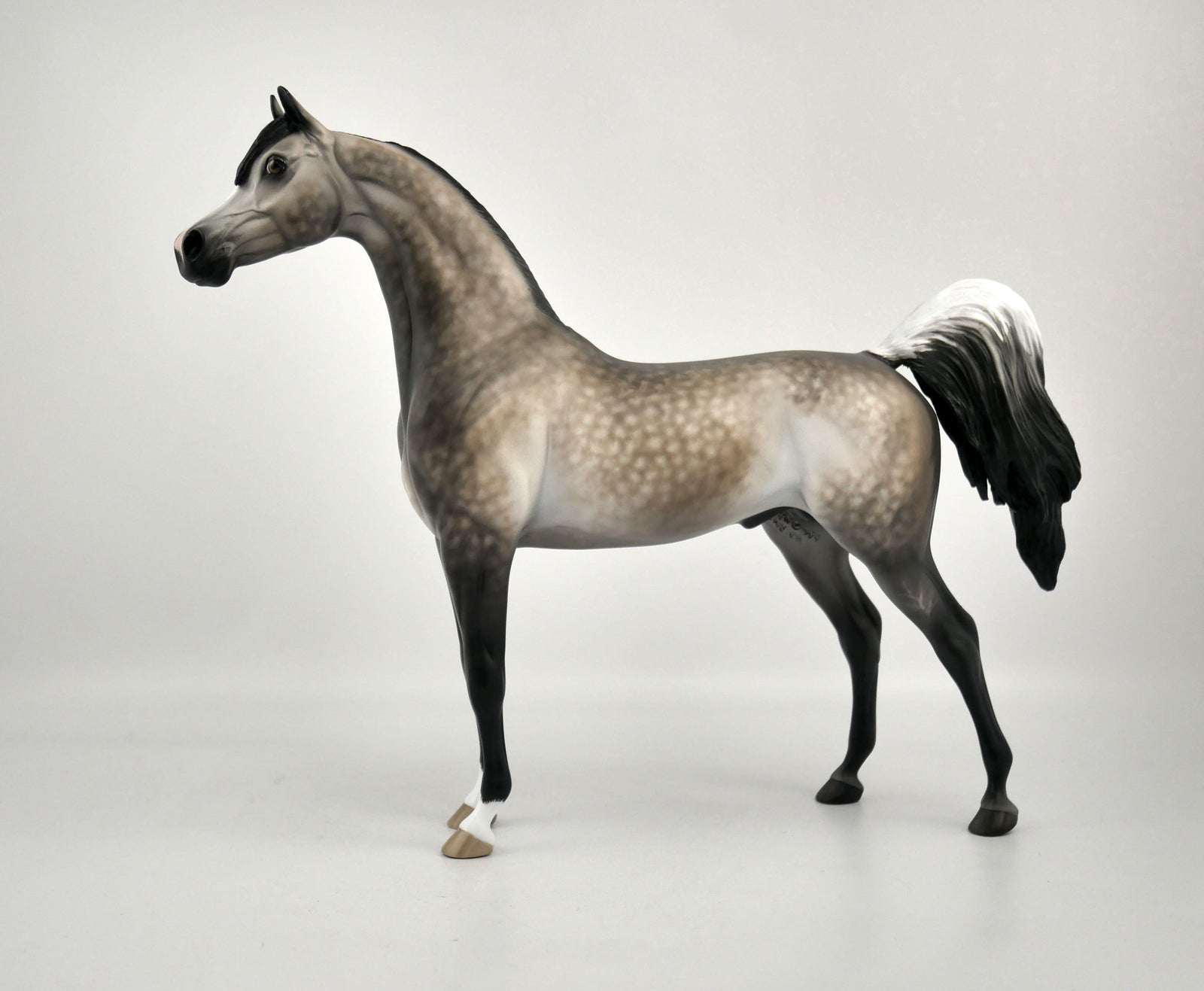 EOWEN -OOAK DAPPLE BAY GOING GREY ARABIAN BY SHERYL LEISURE 12/03/20