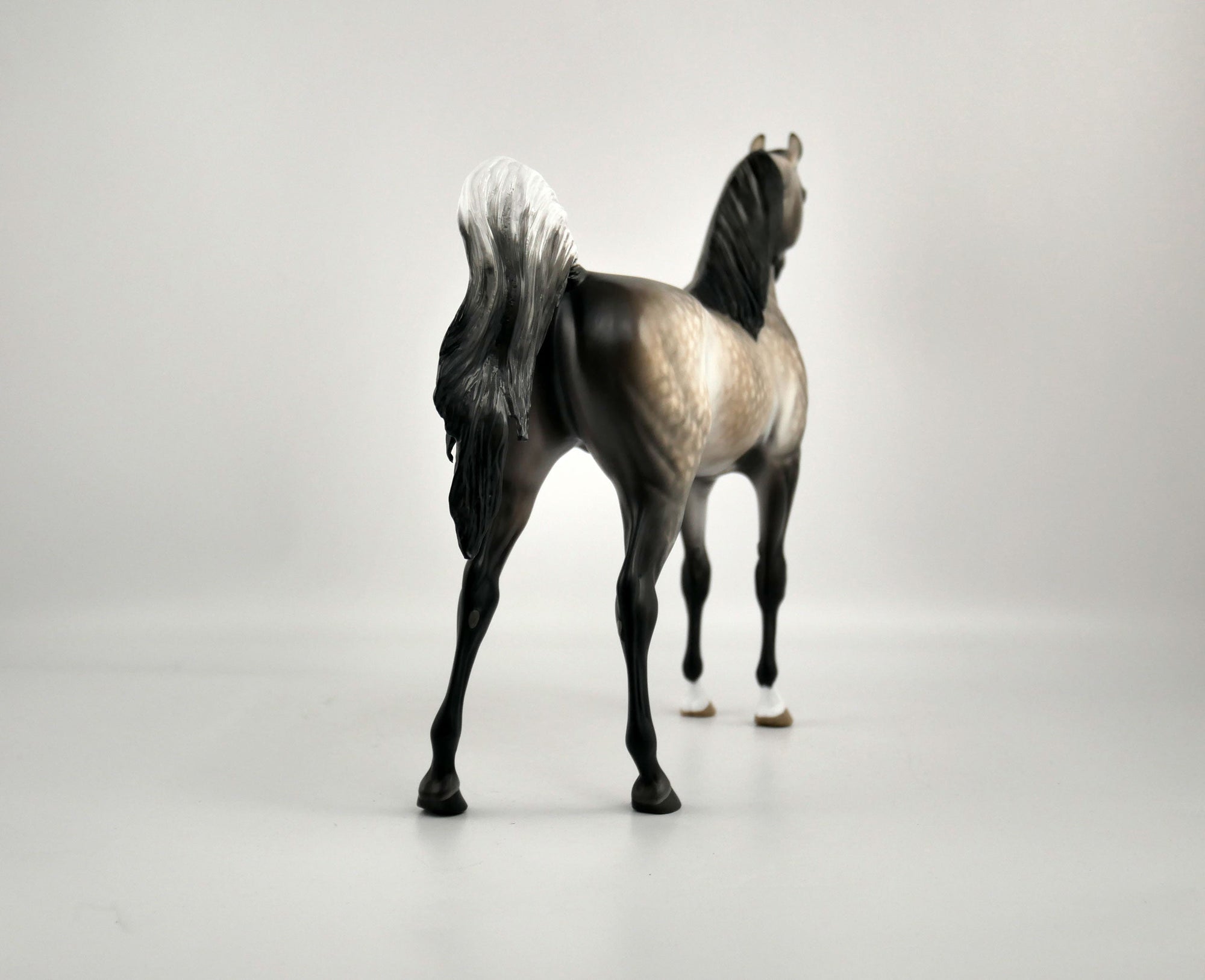 EOWEN -OOAK DAPPLE BAY GOING GREY ARABIAN BY SHERYL LEISURE 12/03/20