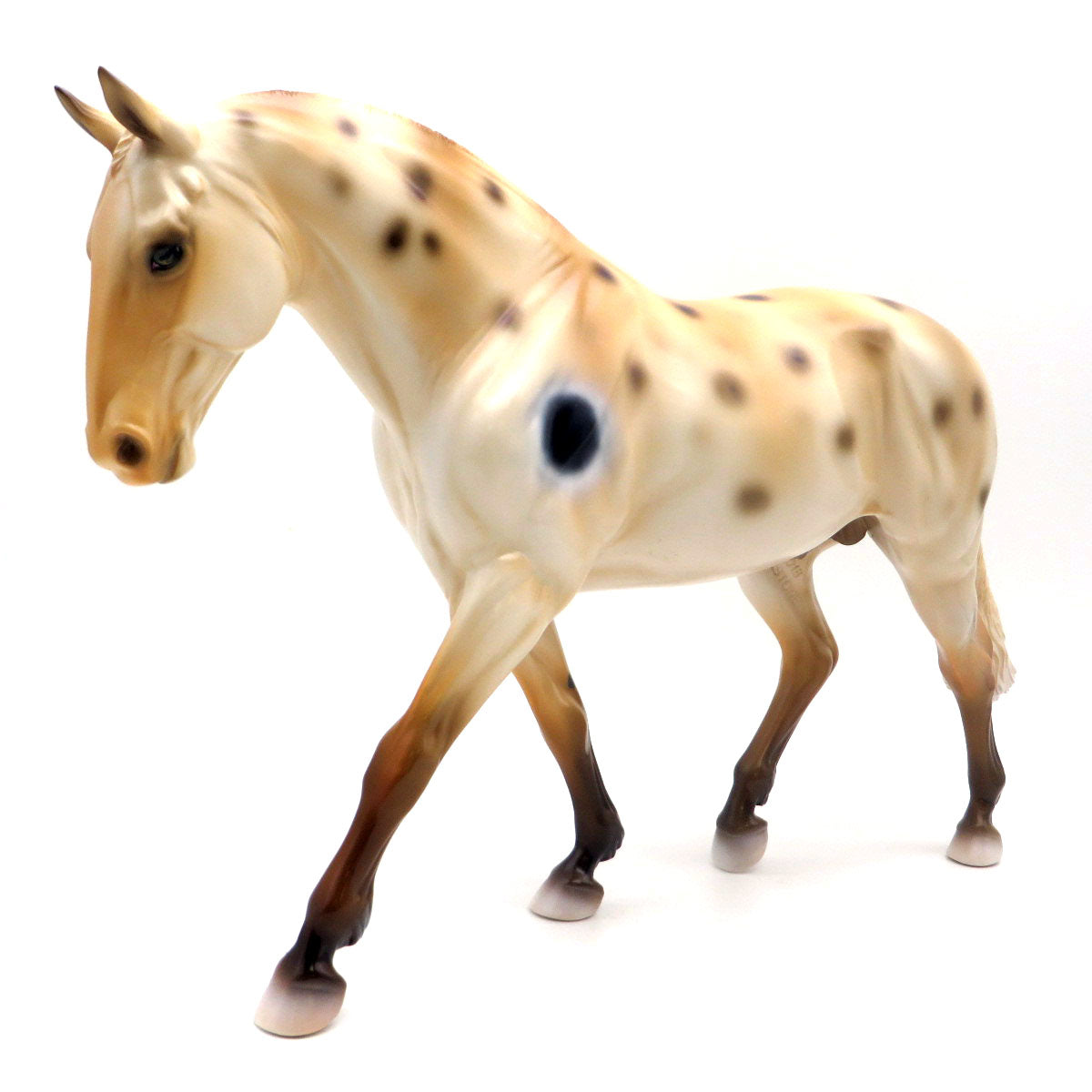 Walking Shark Pattern | DAH Special 8/22