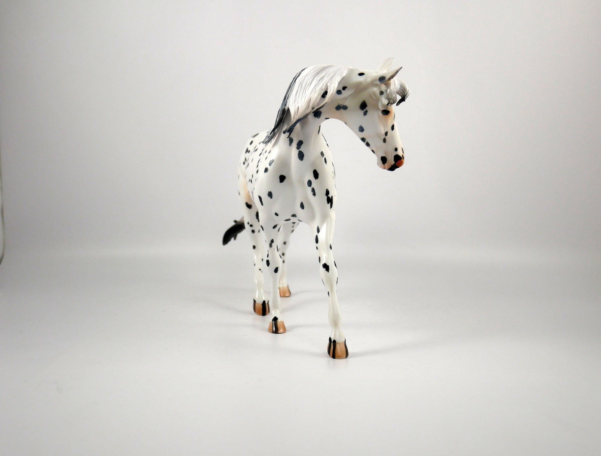 EPIPHANY - OOAK APPALOOSA PONY BY ELAINE STONE 12/23/20