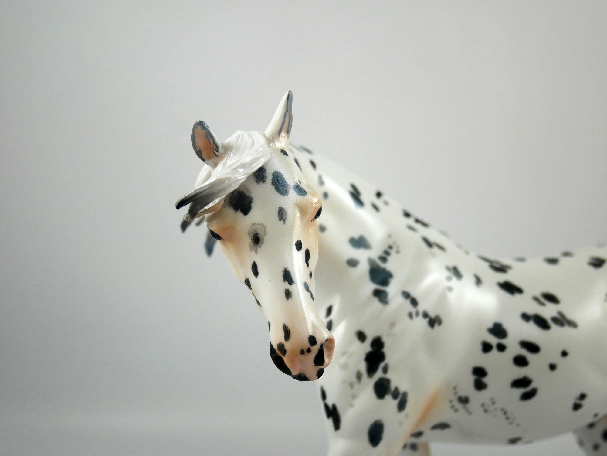 EPIPHANY - OOAK APPALOOSA PONY BY ELAINE STONE 12/23/20