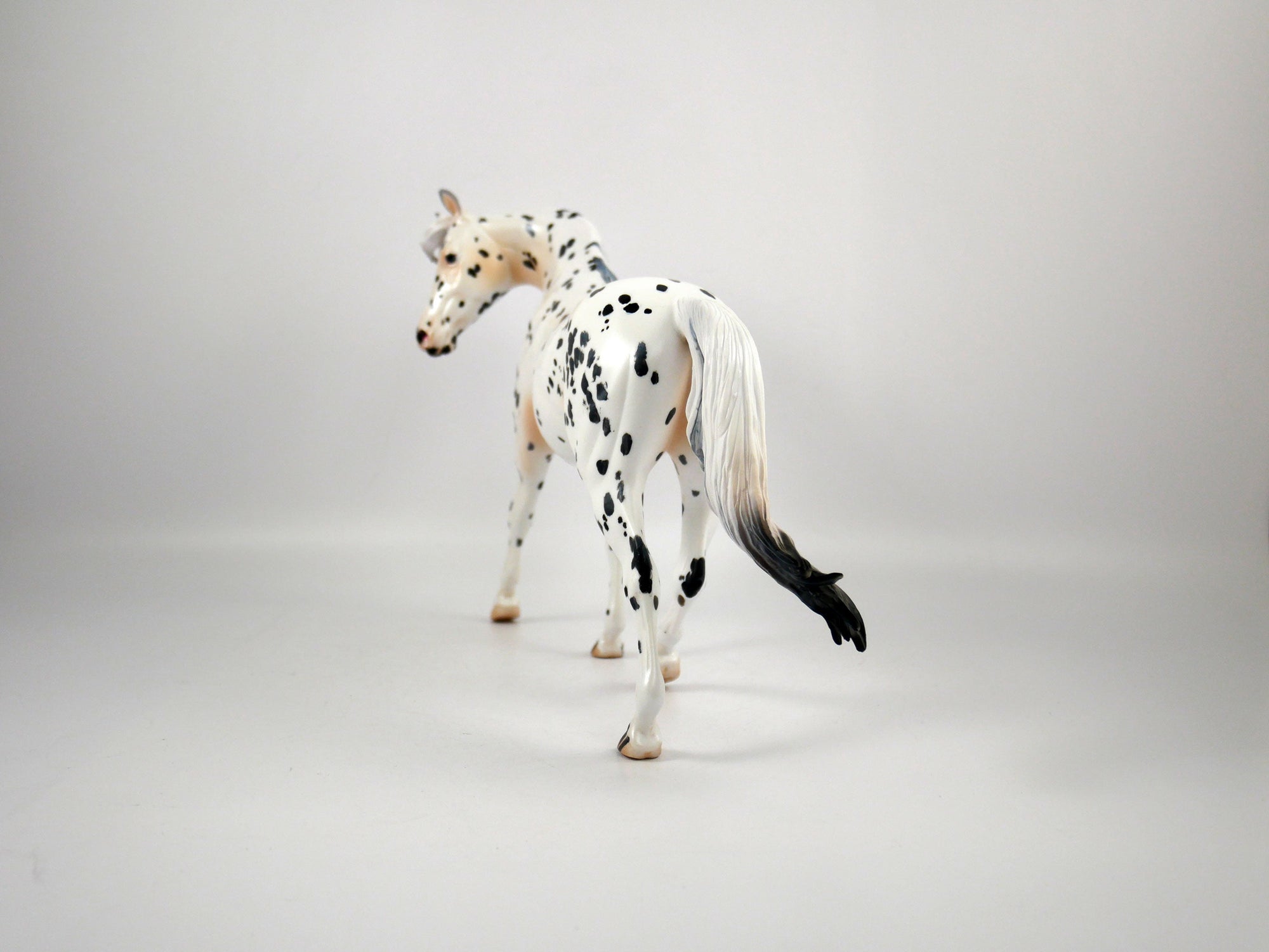 EPIPHANY - OOAK APPALOOSA PONY BY ELAINE STONE 12/23/20