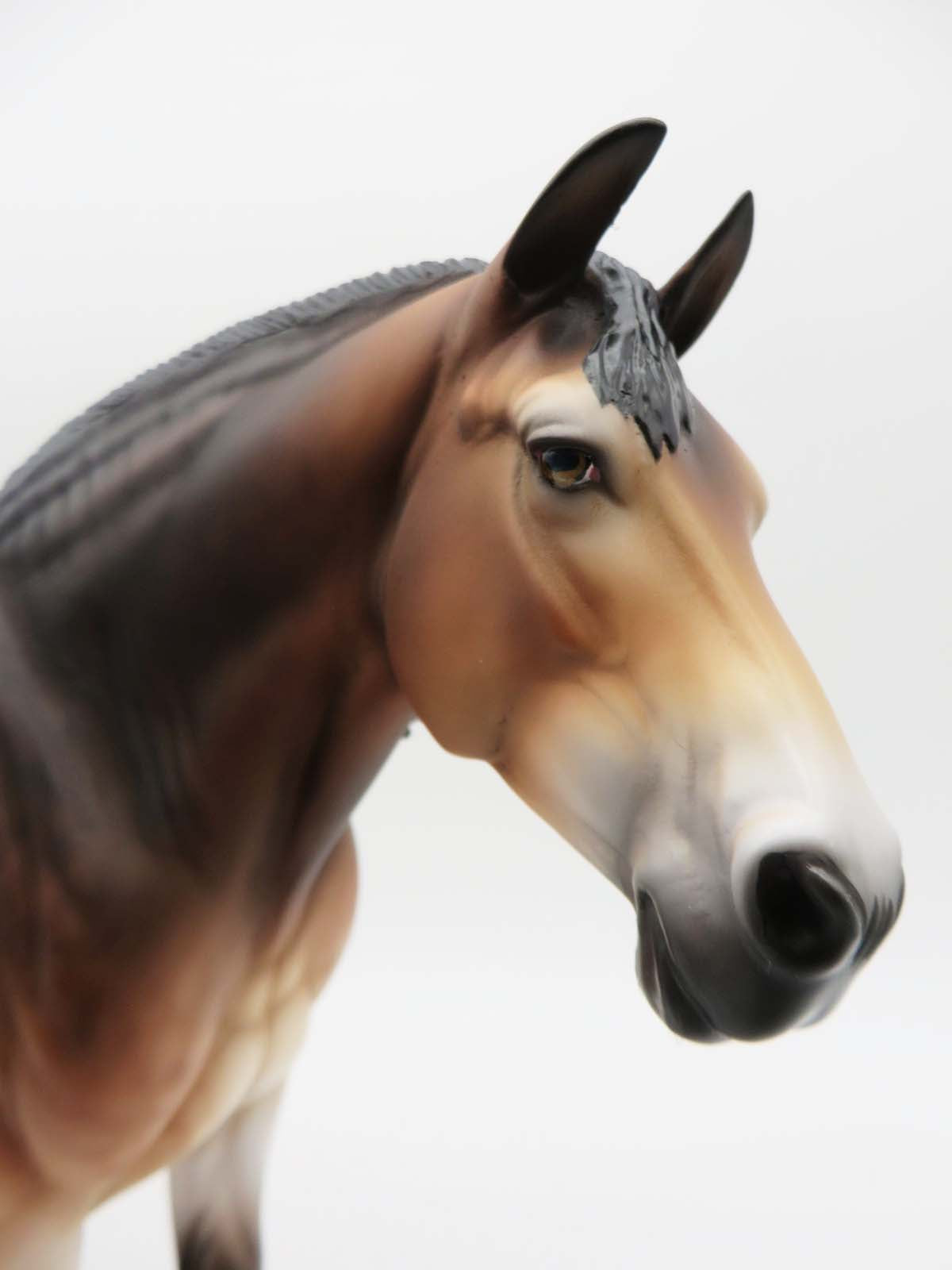 Estonia - OOAK - North Swedish Horse Inspired Heavy Draft Mare By Jess Hamill - Best Offers 3/6/23