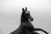 Euphrates-OOAK Dapple Black Arabian Mare SHCF 21