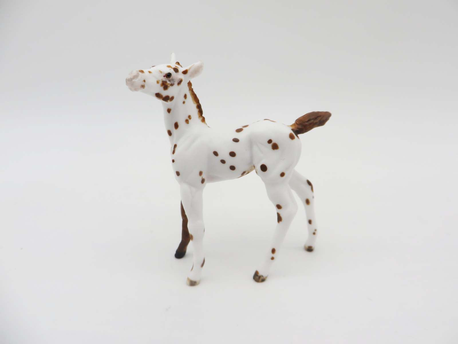 Eureka - OOAK - Appy Chip Foal By Andrea Thomason - SHCF23