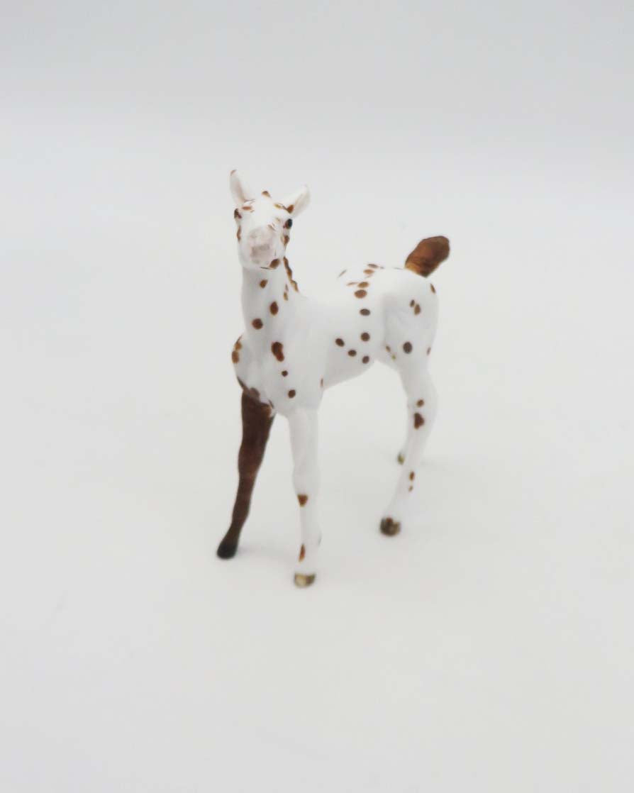 Eureka - OOAK - Appy Chip Foal By Andrea Thomason - SHCF23