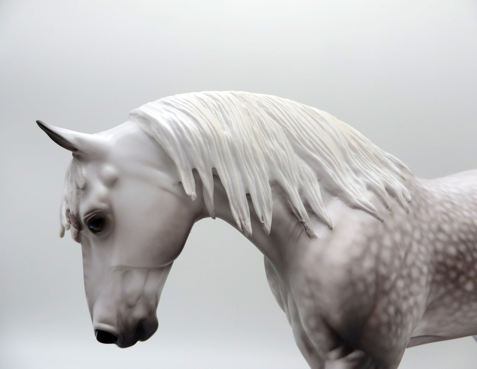 Everest-OOAK Dapple Grey Irish Draft Painted By Caroline Boydston 6/22/21