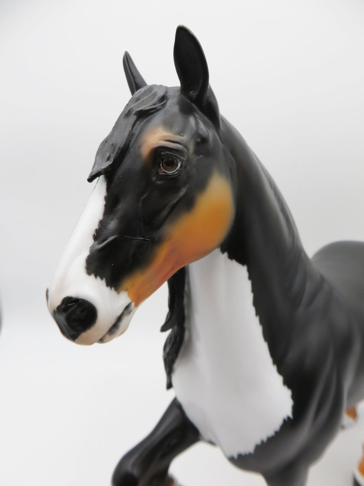 KIDS AUCTION EQ23 Everest-LE-15 Trotting Draft Burnese Mountain Dog Inspired By Dawn Quick
