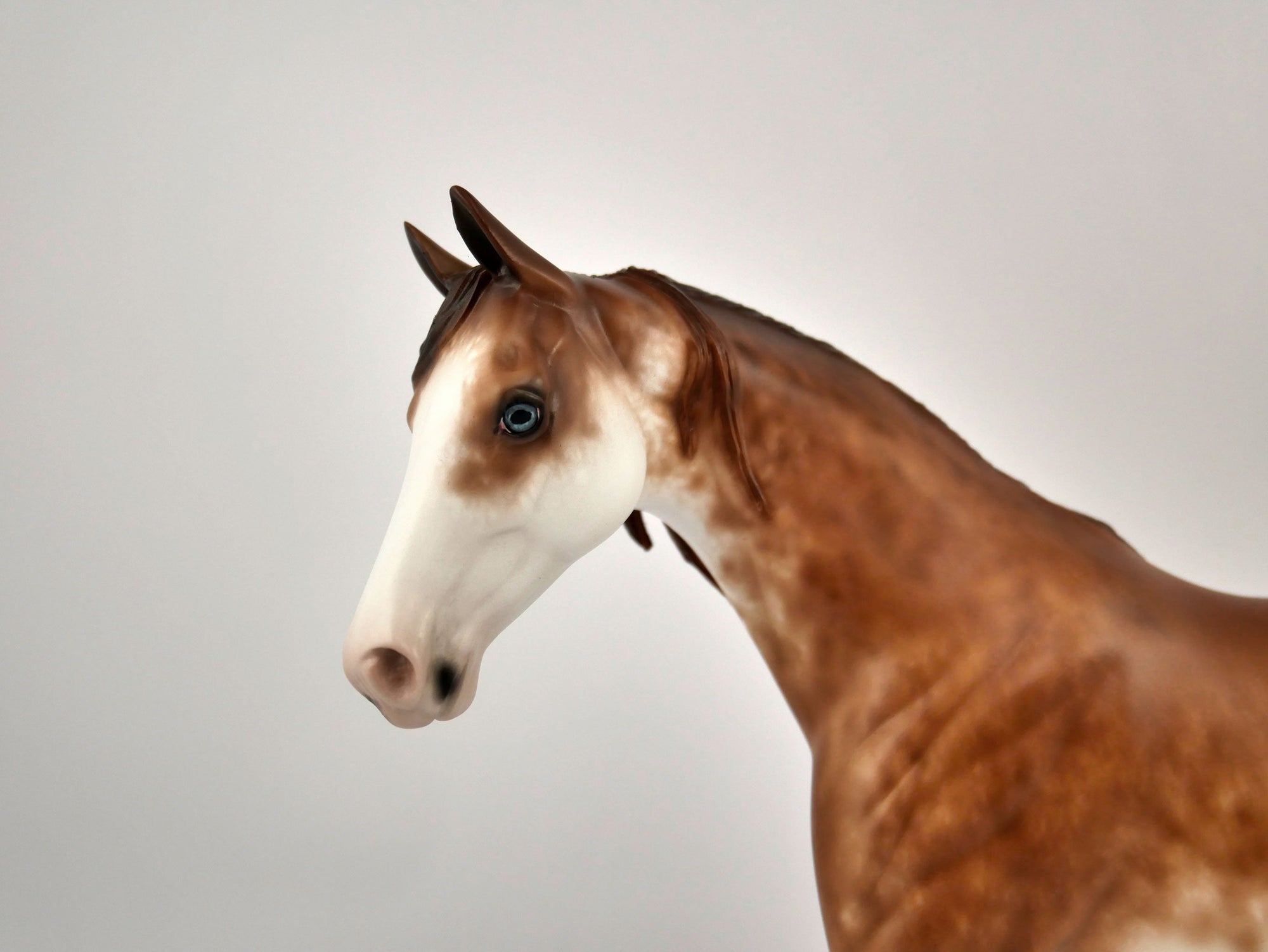EVERETT -OOAK CHESTNUT SABINO PONY MODEL HORSE BY SHERYL LEISURE 11/24/20