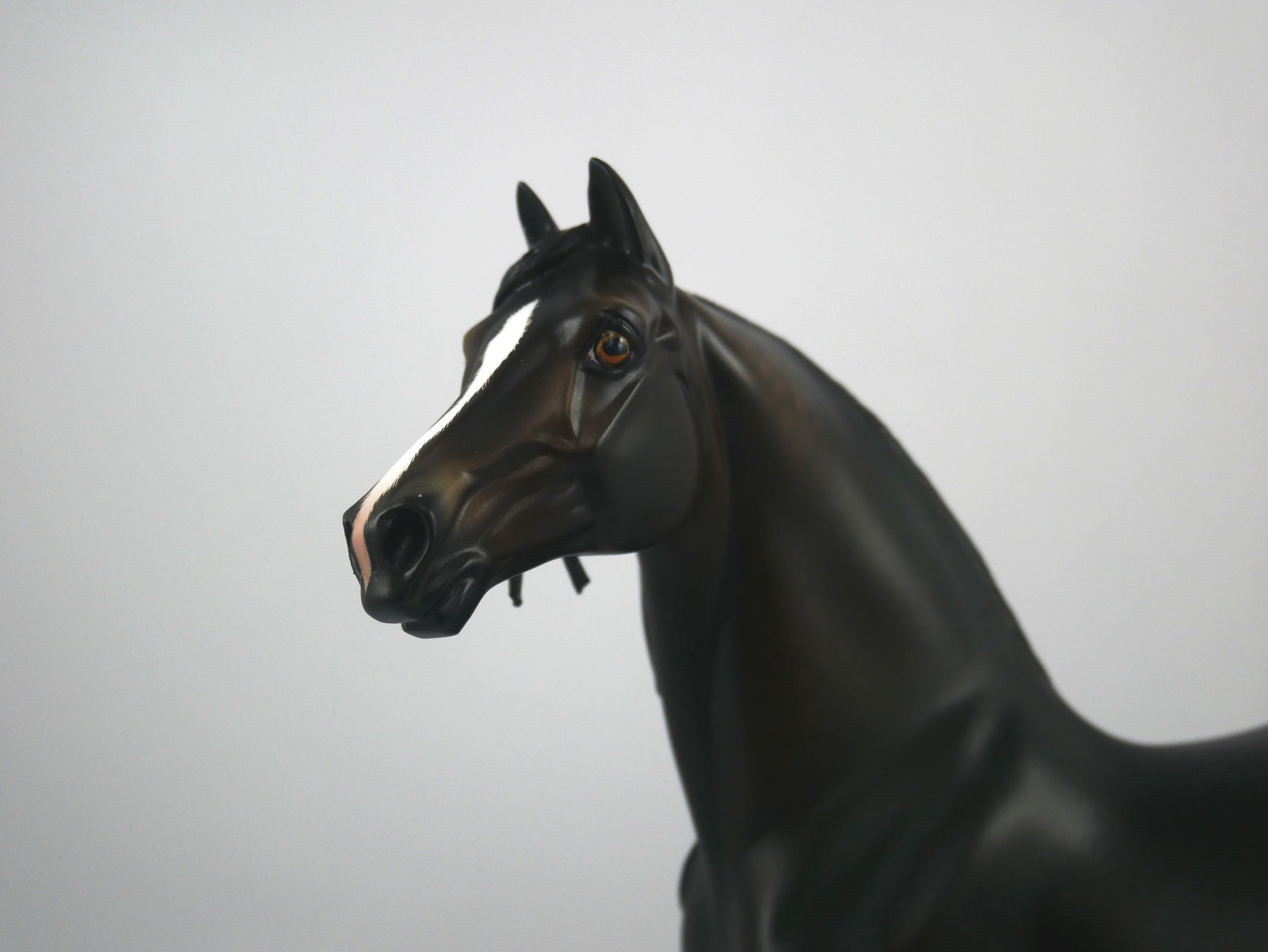 Everett-OOAK Dapple Seal Bay Morgan Painted By Sheryl Leisure 1/8/21