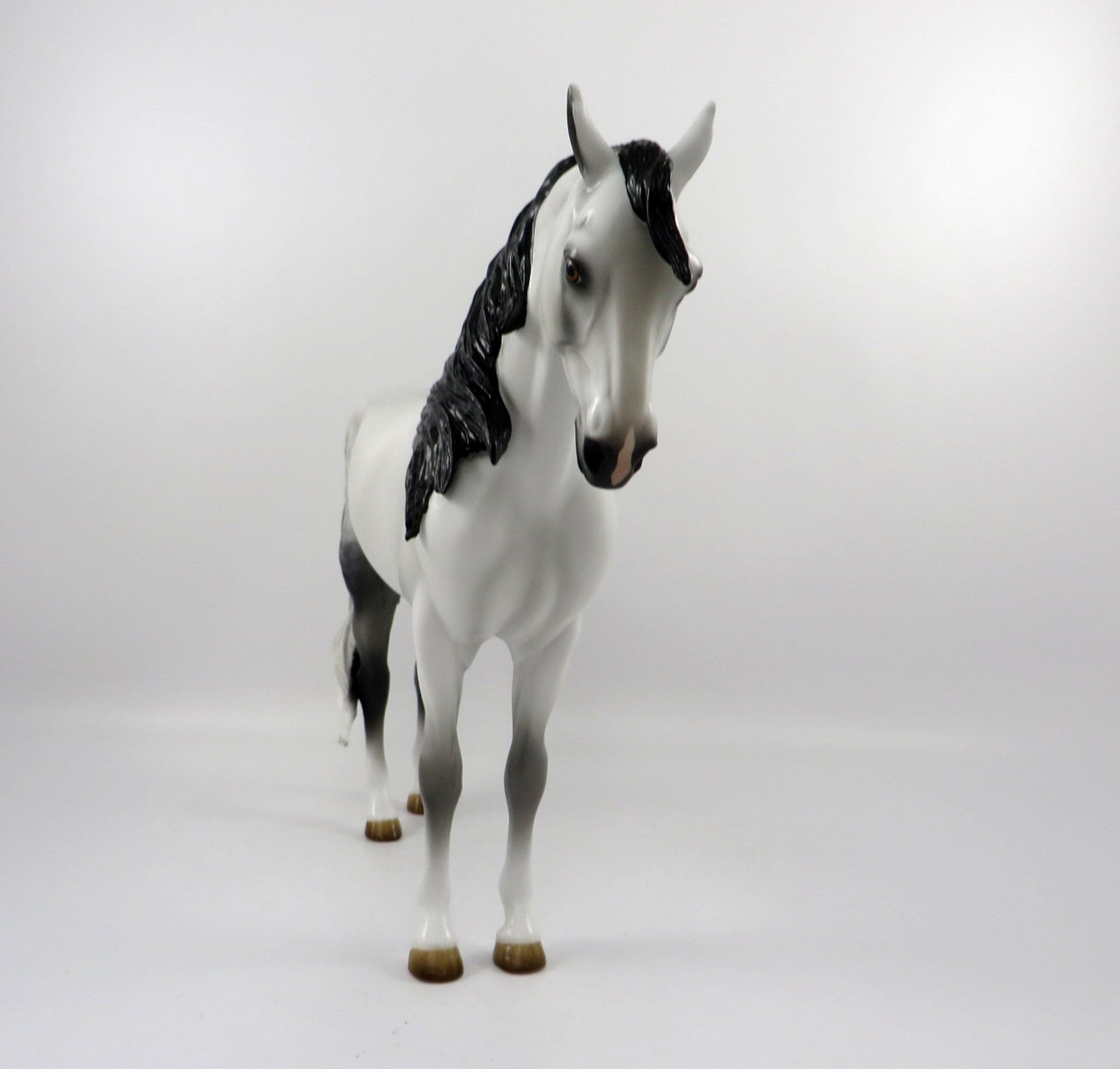 Excursion-OOAK Dapple Grey Andalusian Painted By Audrey Dixon 3/12/21