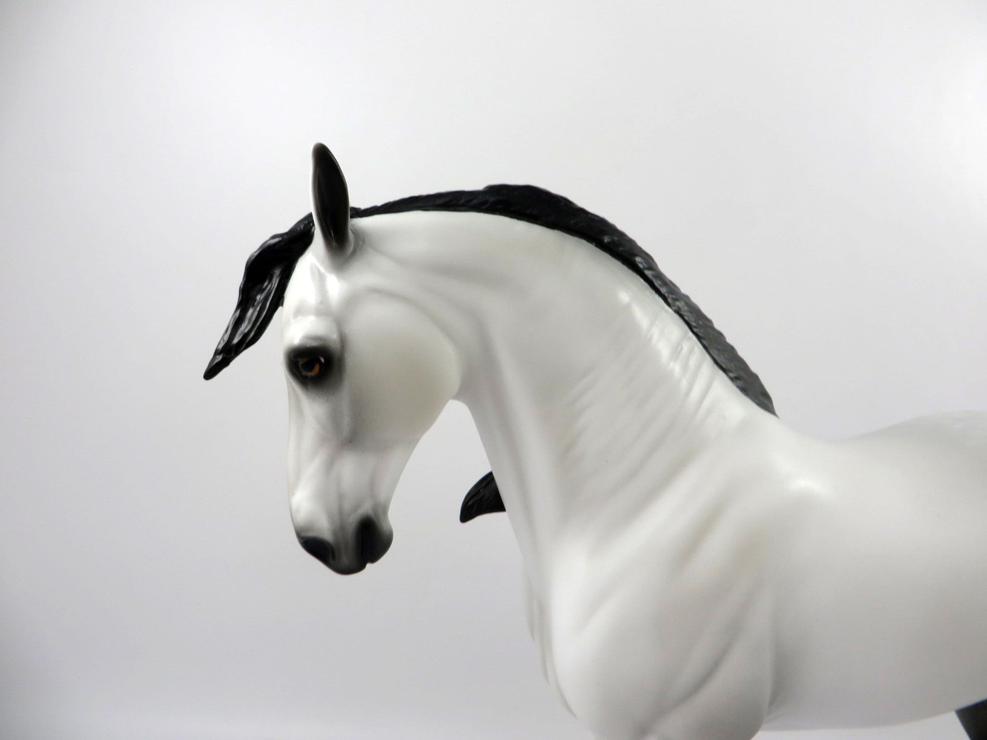 Excursion-OOAK Dapple Grey Andalusian Painted By Audrey Dixon 3/12/21