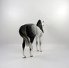 Excursion-OOAK Dapple Grey Andalusian Painted By Audrey Dixon 3/12/21