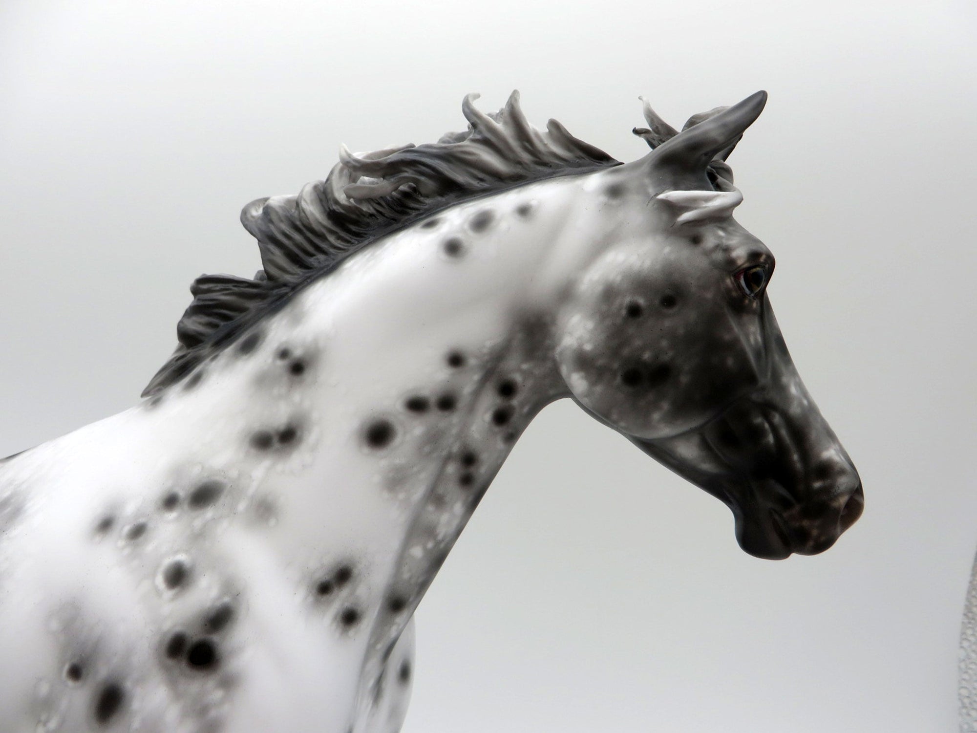 Extra Sprinkles-OOAK Loud Appaloosa Palouse Painted By Sheryl Leisure 6/14/21