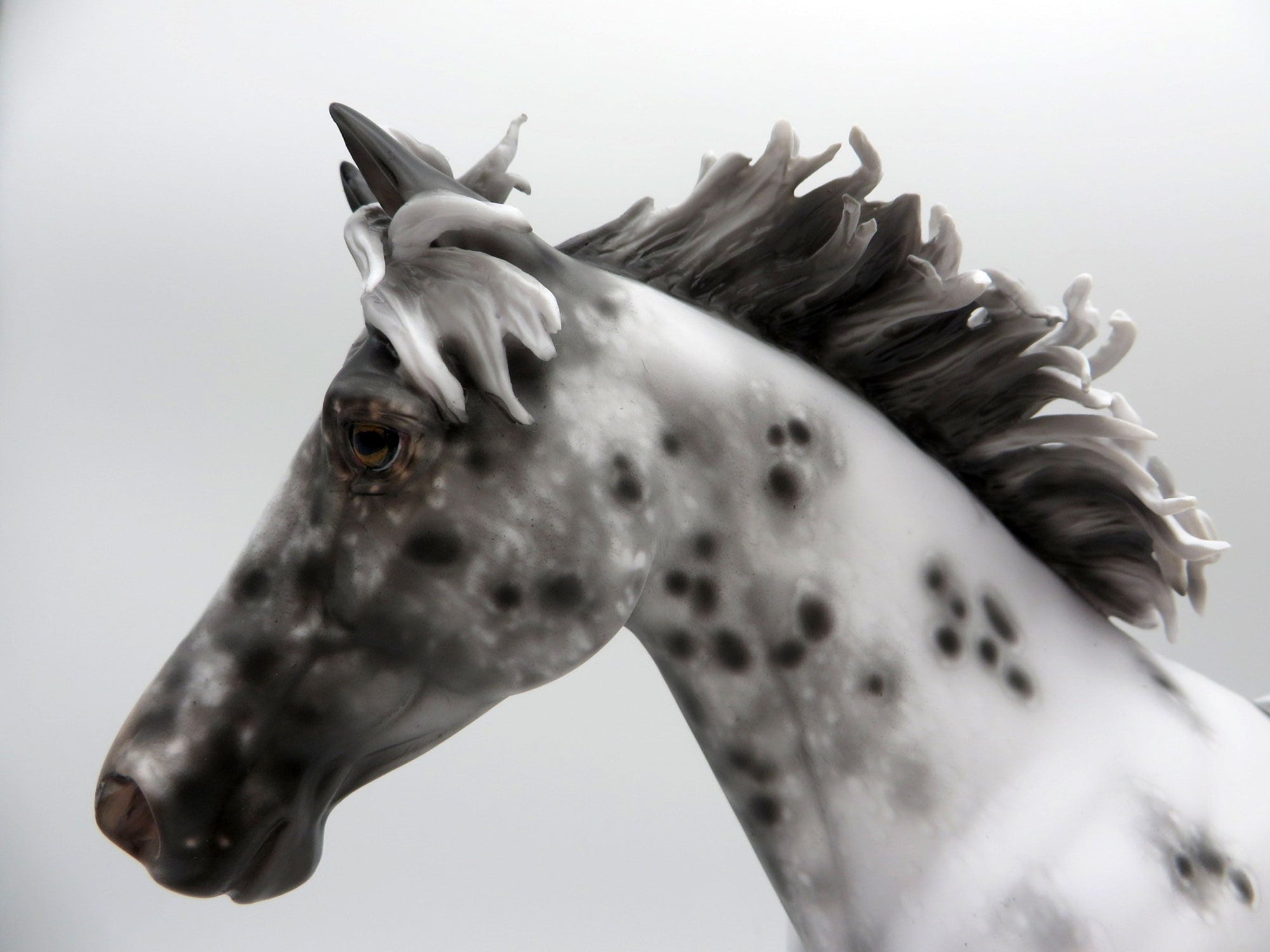 Extra Sprinkles-OOAK Loud Appaloosa Palouse Painted By Sheryl Leisure 6/14/21