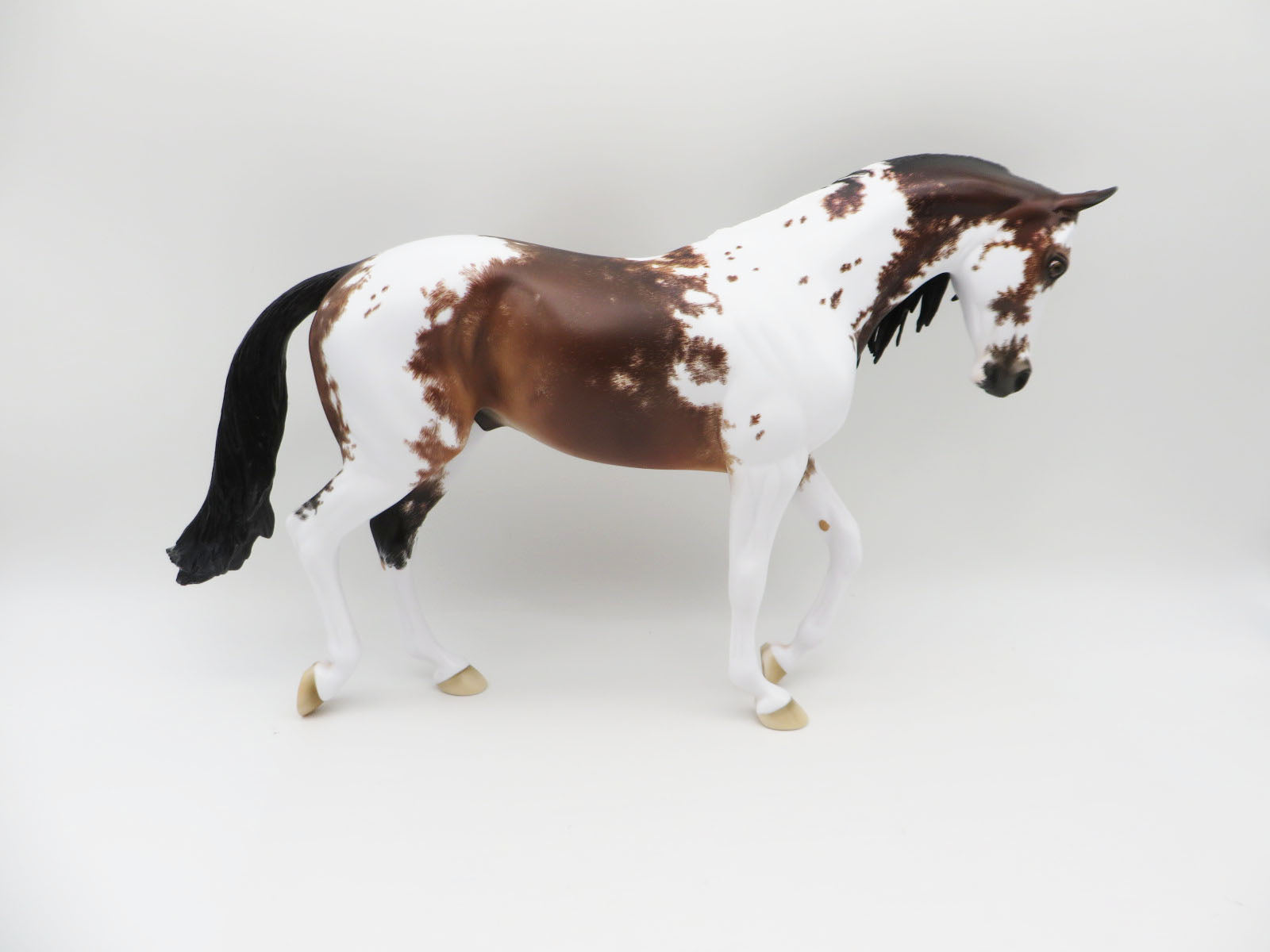 Faith Of The Heart - OOAK - Bay Sabino by Ellen Robbins - Best Offers 2/20/23