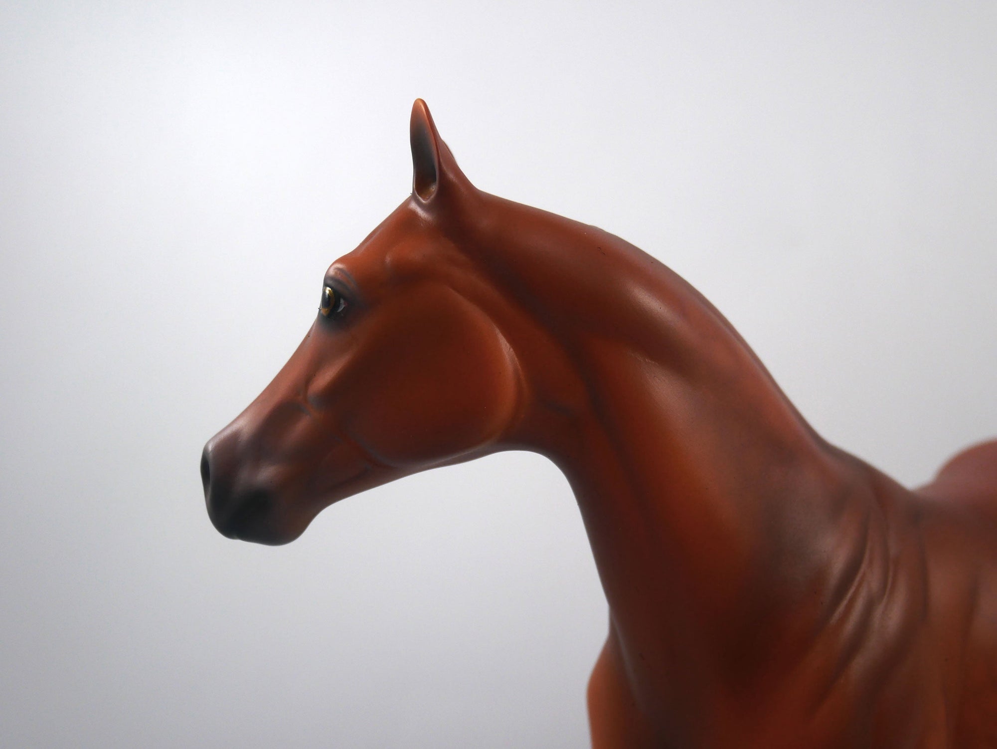 Falcon-OOAK Dapple Chestnut ISH By Dawn Quick  SB21