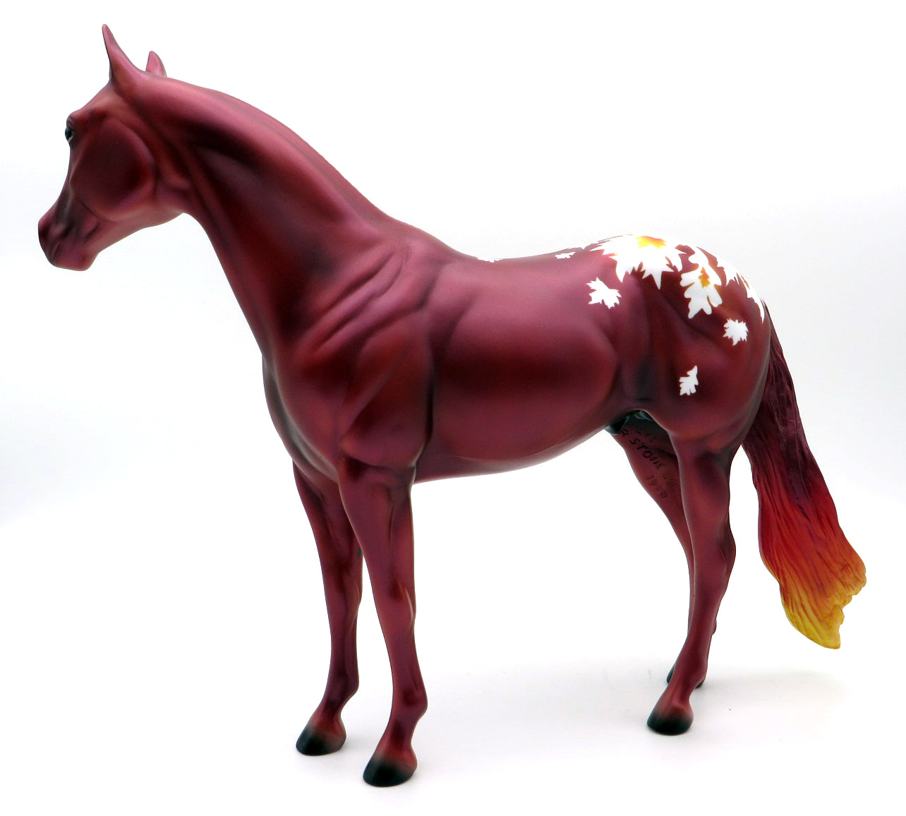 Fall Leaves Appaloosa - DAH Special