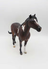 Fandango OOAK Bay Pinto Mustang By Guest Artist Donna Fredley SHCF23