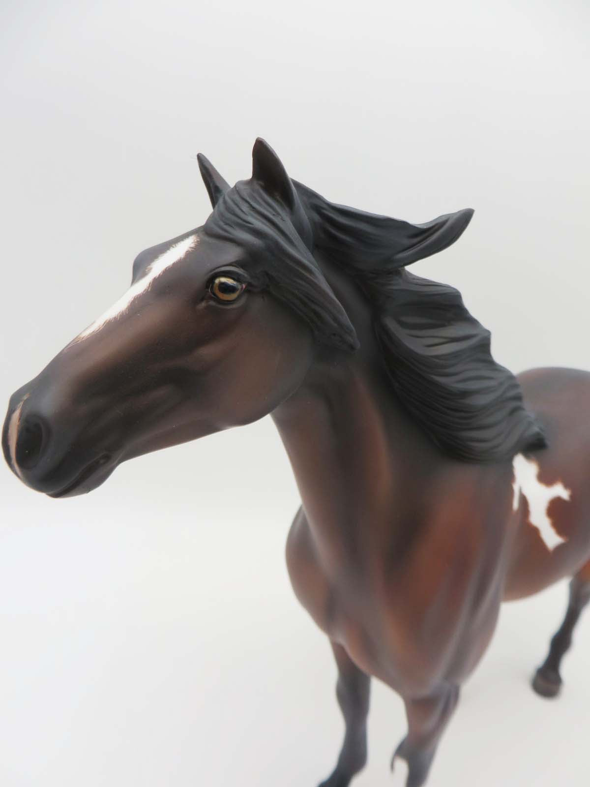 Fandango OOAK Bay Pinto Mustang By Guest Artist Donna Fredley SHCF23