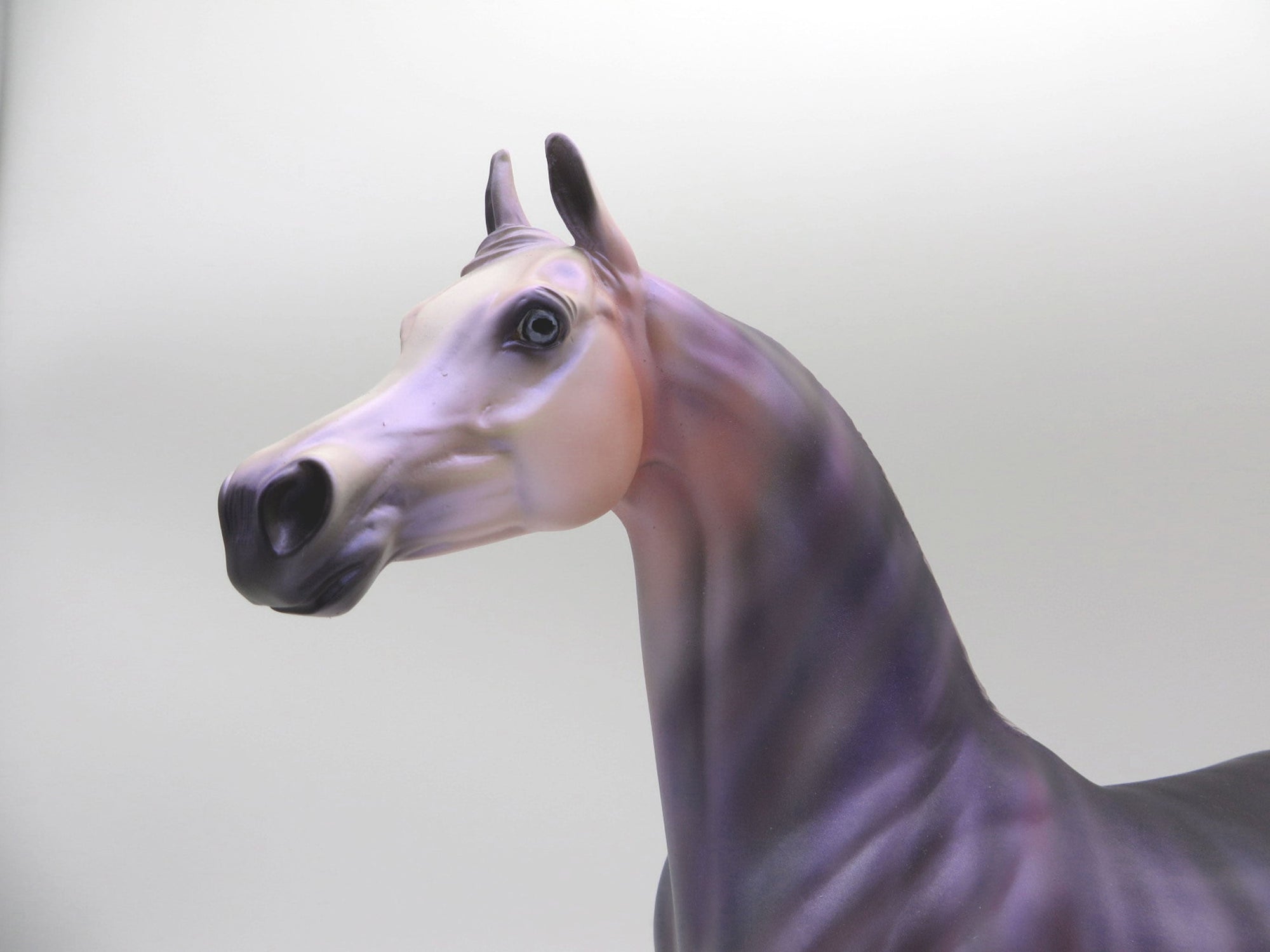 Fandago-OOAK Deco Arabian Painted By Ellen Robbins  5/28/21