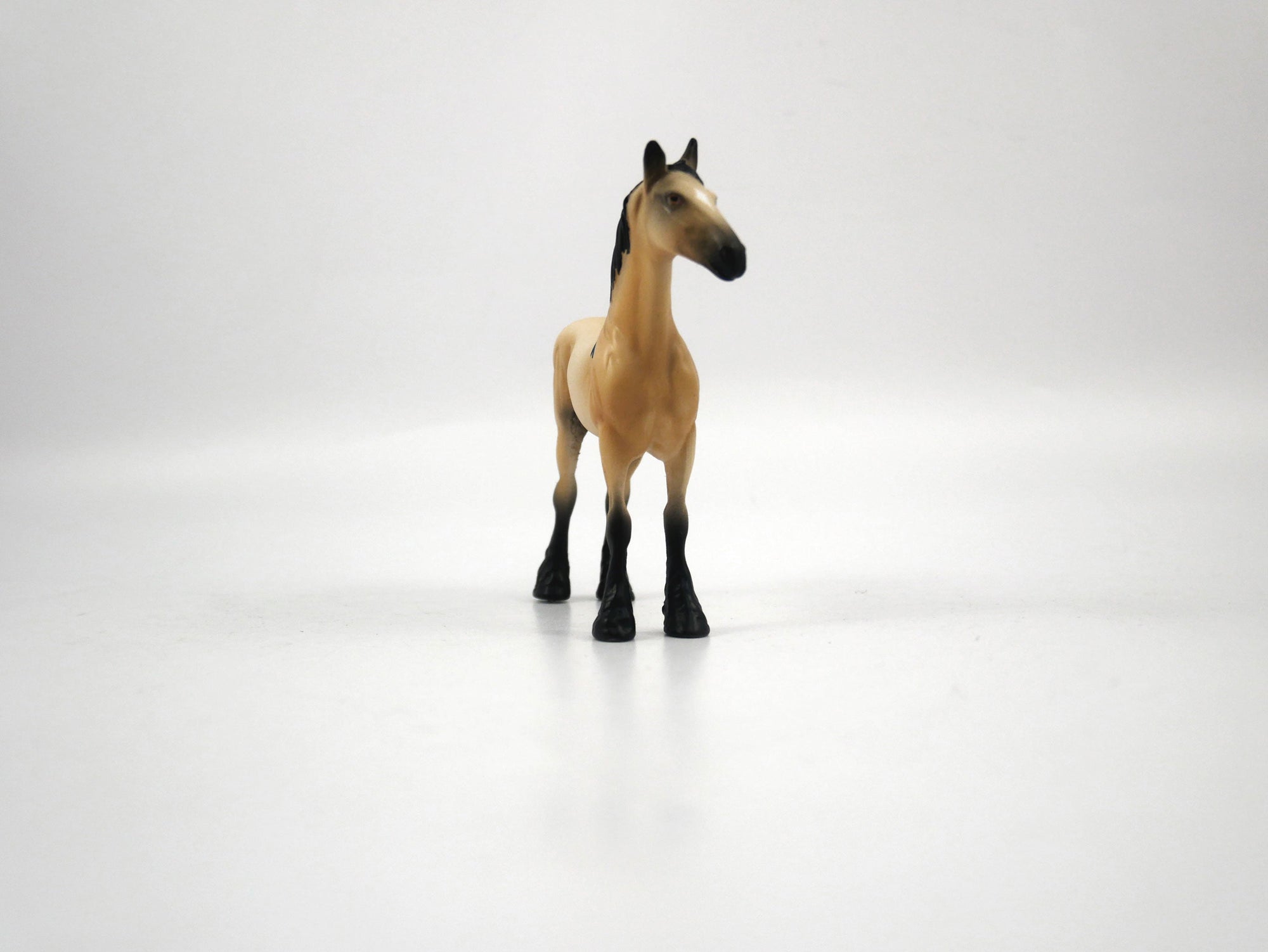 Fane-OOAK Buckskin Draft Chip 1/27/21