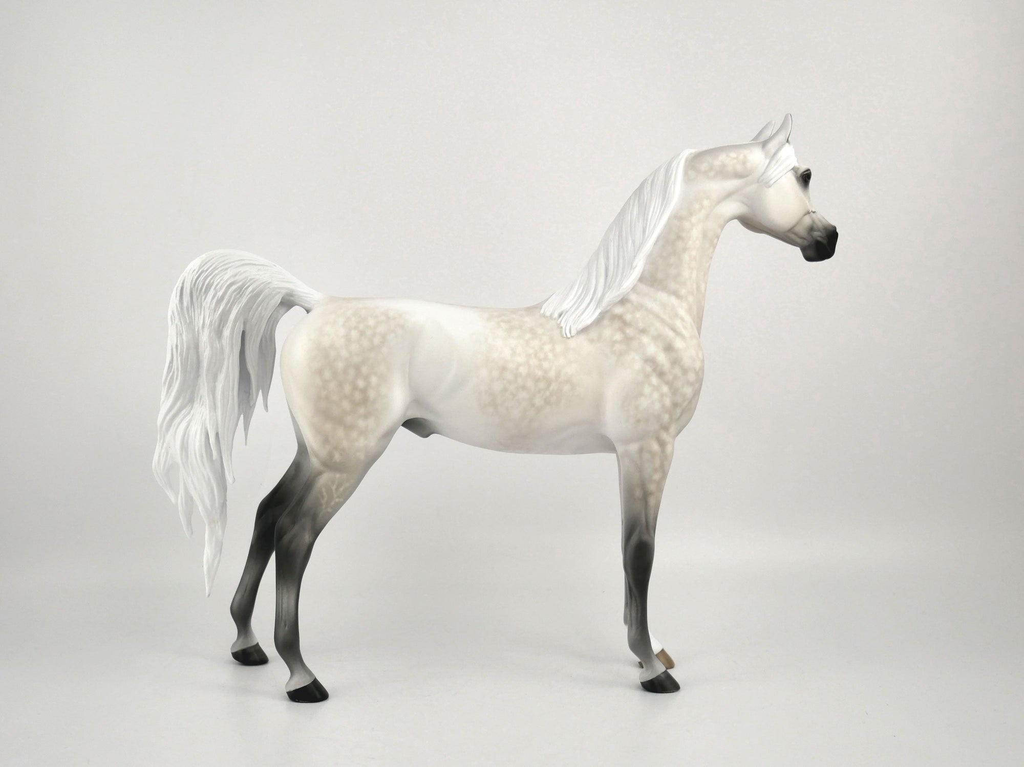 FAULKNER-OOAK LIGHT GREY DAPPLE WITH CUSTOM TAIL BY SHERYL LEISURE 11/11/20