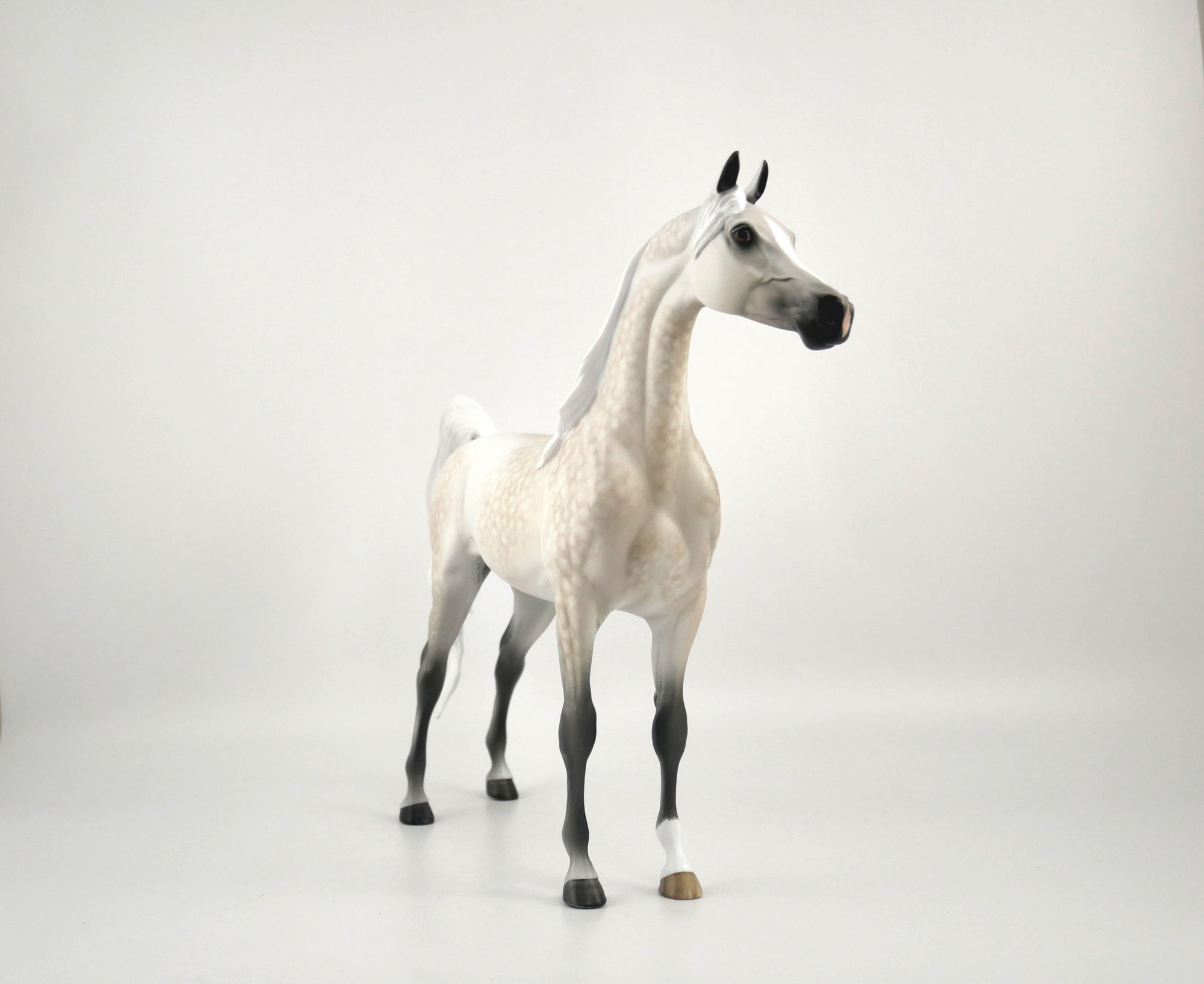 FAULKNER-OOAK LIGHT GREY DAPPLE WITH CUSTOM TAIL BY SHERYL LEISURE 11/11/20