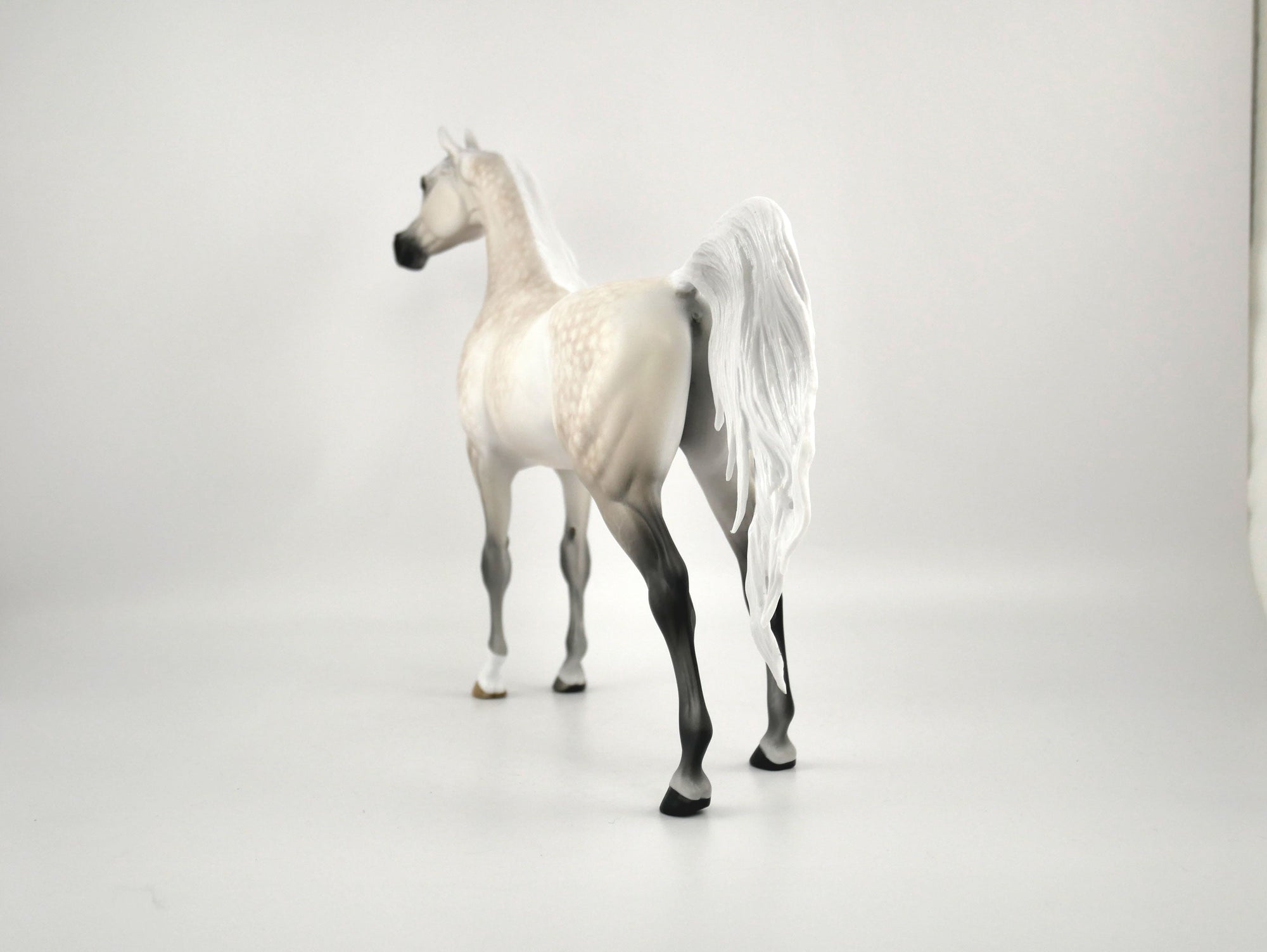 FAULKNER-OOAK LIGHT GREY DAPPLE WITH CUSTOM TAIL BY SHERYL LEISURE 11/11/20