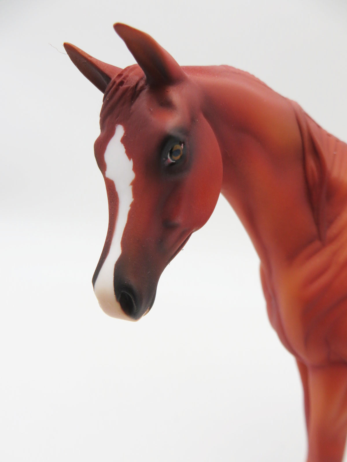 Faygo - OOAK - Chestnut Pebble Arabian by Angela Marleau - Christmas Tails 2022 - CT22