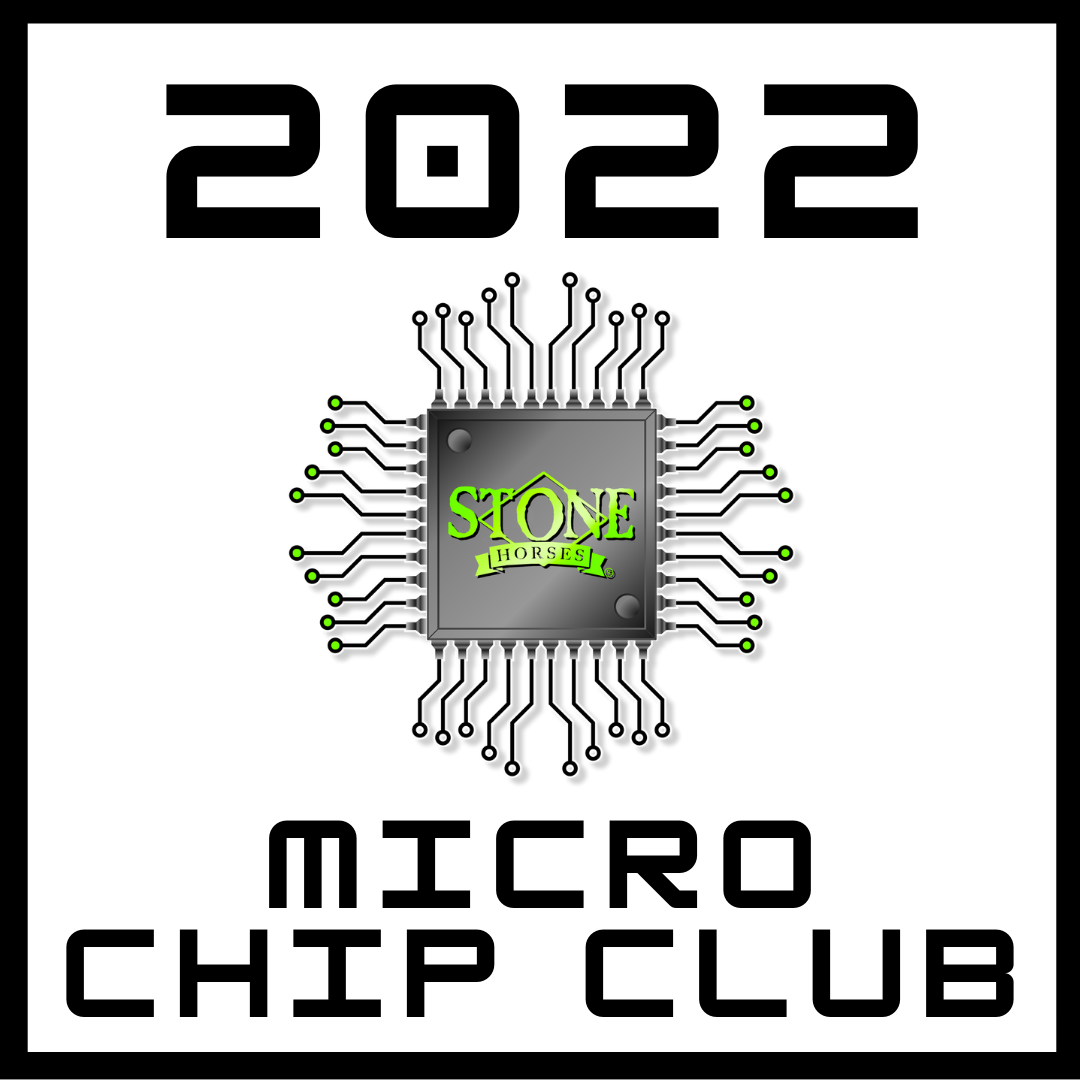 Micro Chip Club | 2022