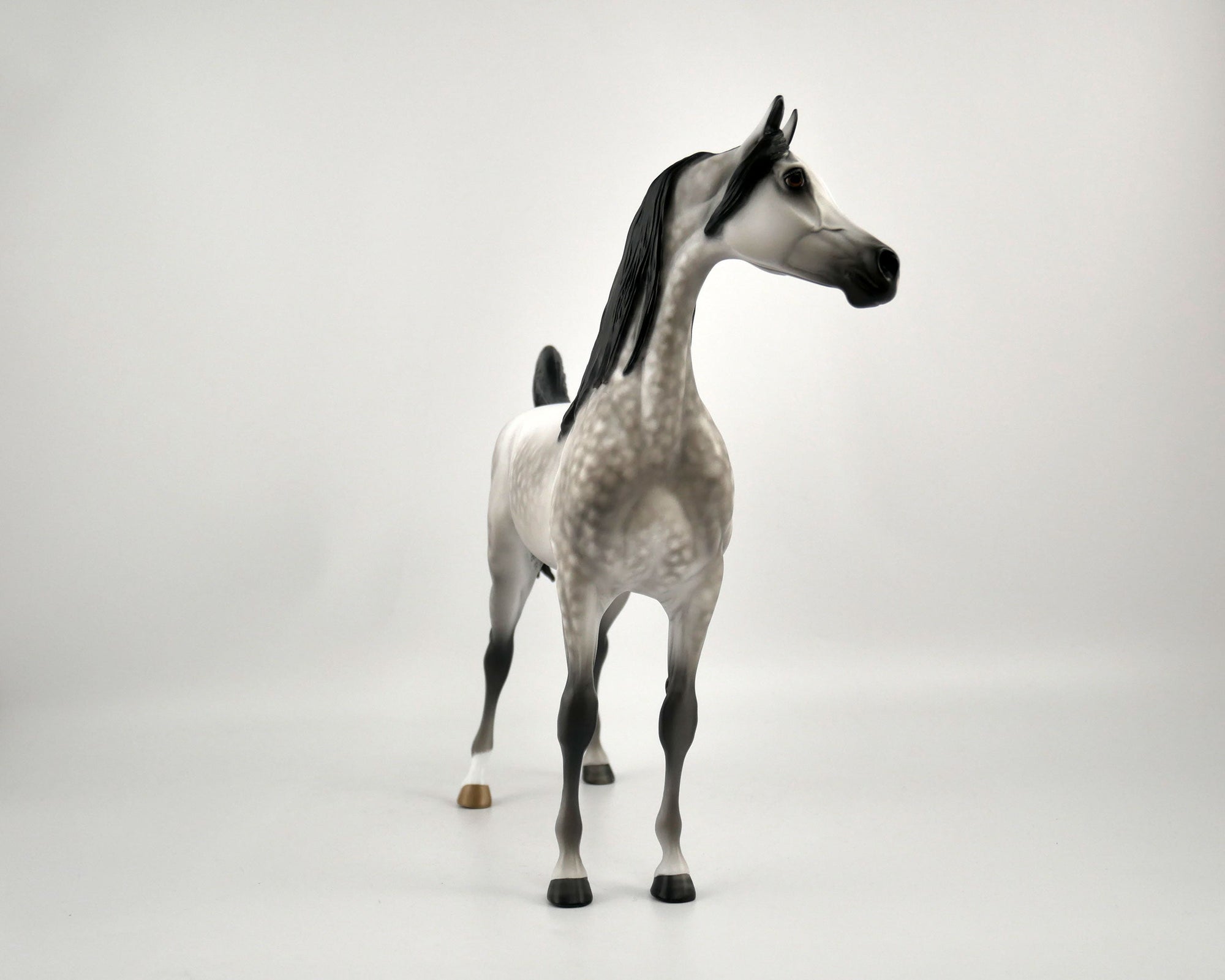 FEDERICO-OOAK DAPPLE GREY ARABIAN BY SHERYL LEISURE 11/11/20